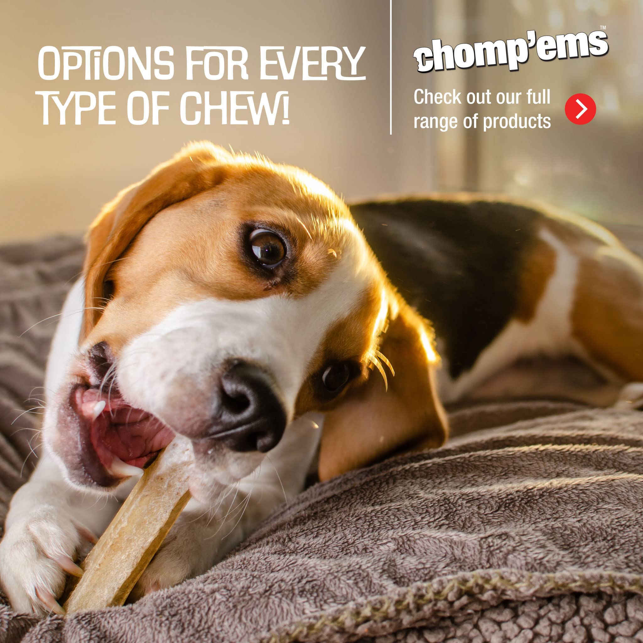 Chompems Premium Beefhide Chews for Dogs, 2 Chews