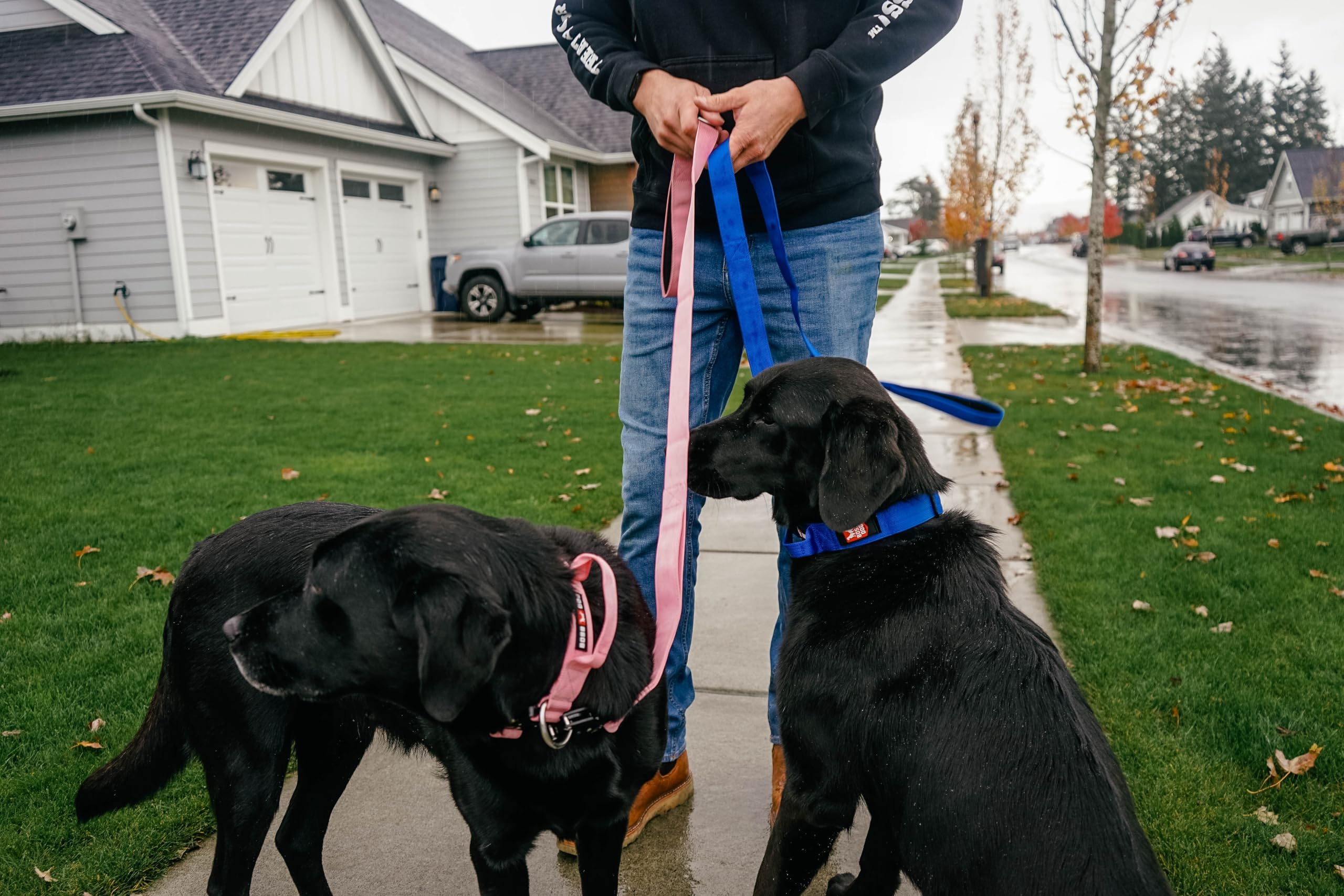 Boss Dog Tactical Leash, Blue, 6 Ft