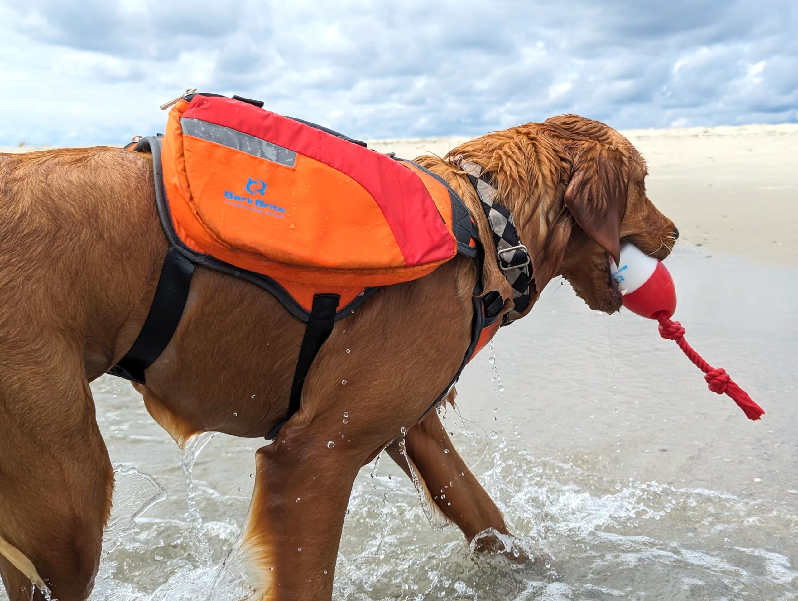 Multi-Purpose Dog Backpack Life Jacket (Size Medium)