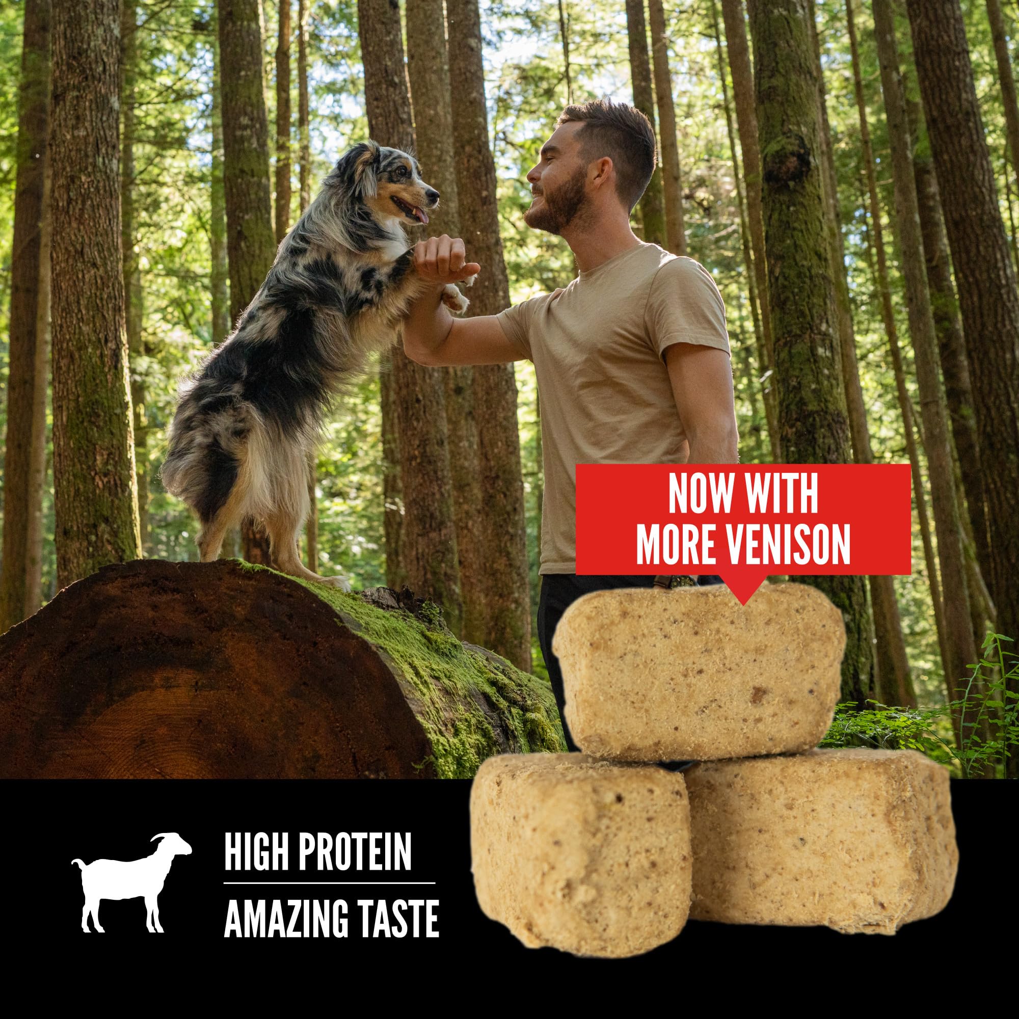 ORIJEN Freeze Dried TUNDRA Dog Treats, WholePrey Ingredients, 3.25oz