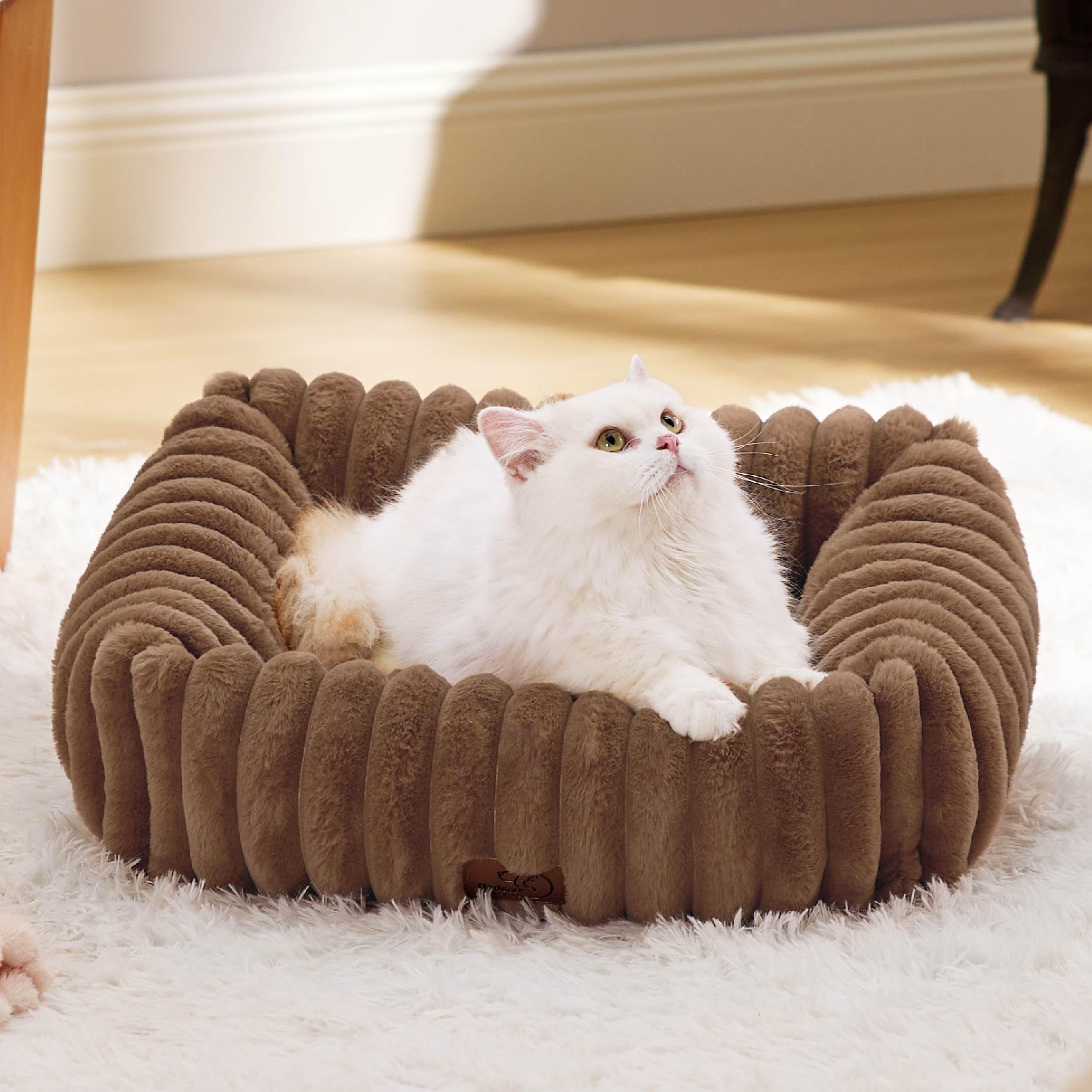 Bedsure Cute Dog Bed For Small Dogs & Cats - Washable Furry Puppy Beds, Rectangle Orthopedic Corduroy Fleece Pet Beds With Remov