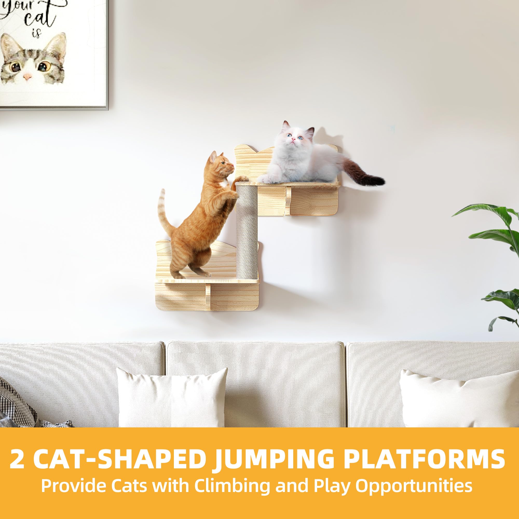 Homiflex Cat Wall Shelves, Wood Cat Wall Furniture(5 Piece Set), Solid Wooden Feline Shelf, with House, Steps, Bridge Ladder and