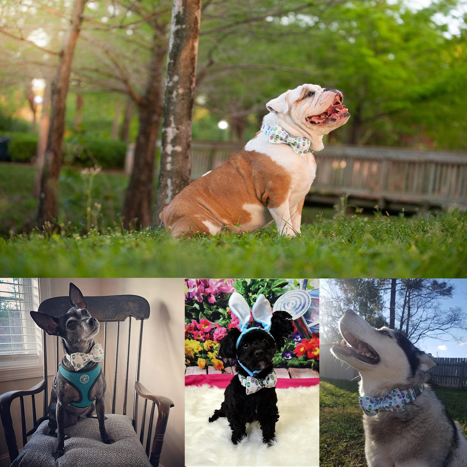 Babole Pet Easter Dog Collar With Bow Tie - Adjustable Easter Eggs Dog Collar Classic Bowtie Metal Buckle Puppy Collars For Smal