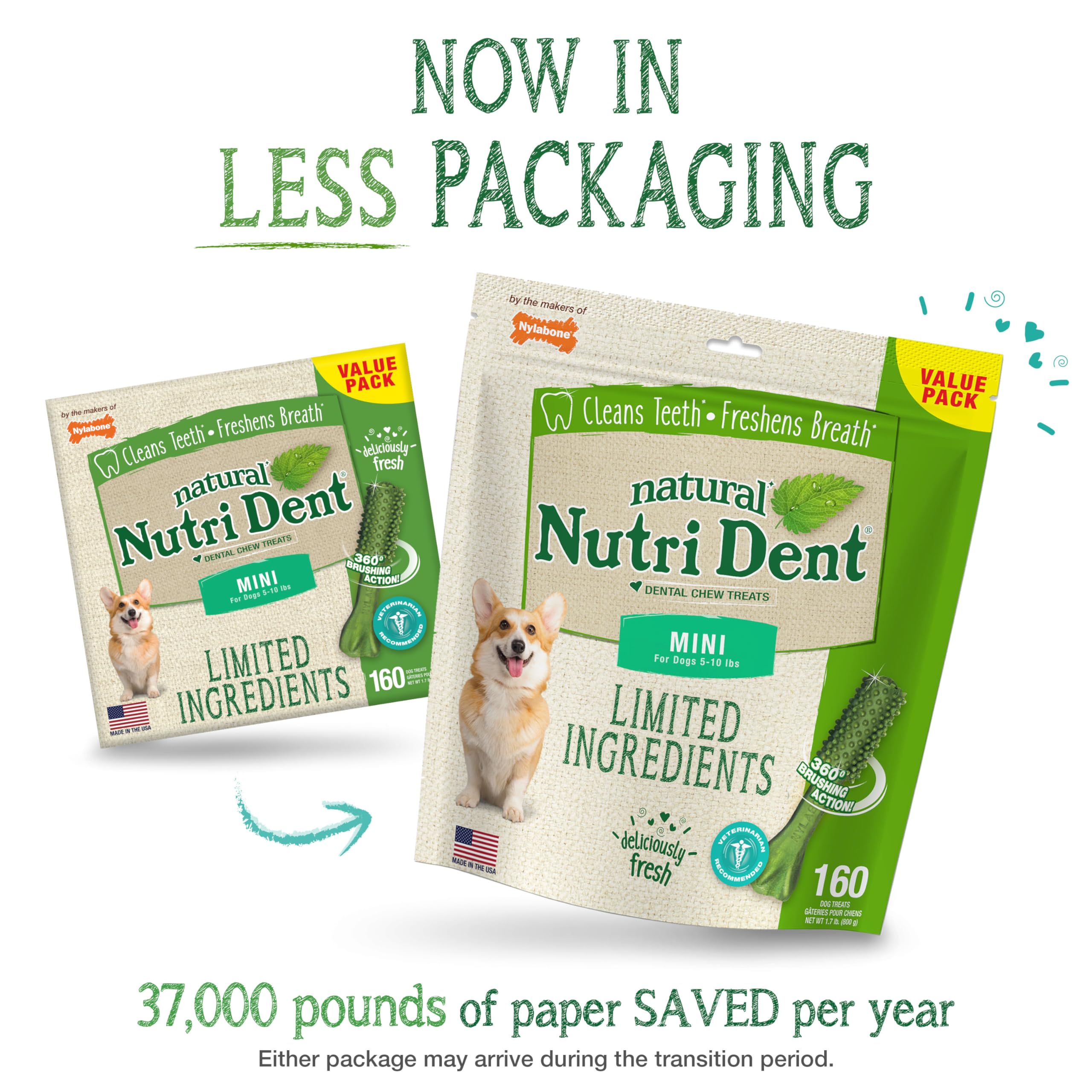 Nylabone Nutri Dent Dog Dental Treats - Natural Dog Teeth Cleaning & Breath Freshener - Dental Treats for Dogs - Fresh Breath Fl