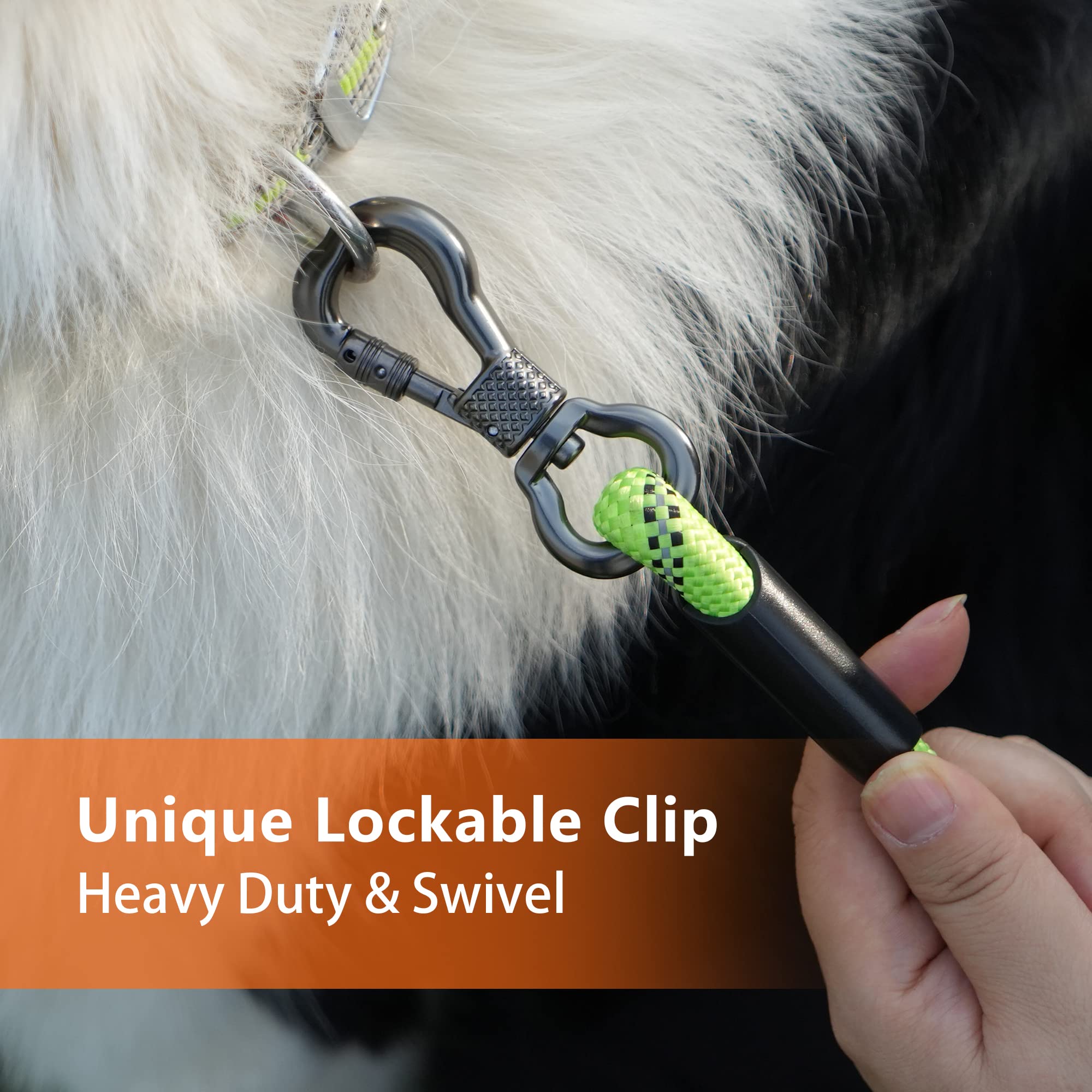 NTR Long Leash for Dog Training, 100 FT Leashes with Swivel Lockable Hook and Comfortable Padded Handle, Dog Lead for Walking, H