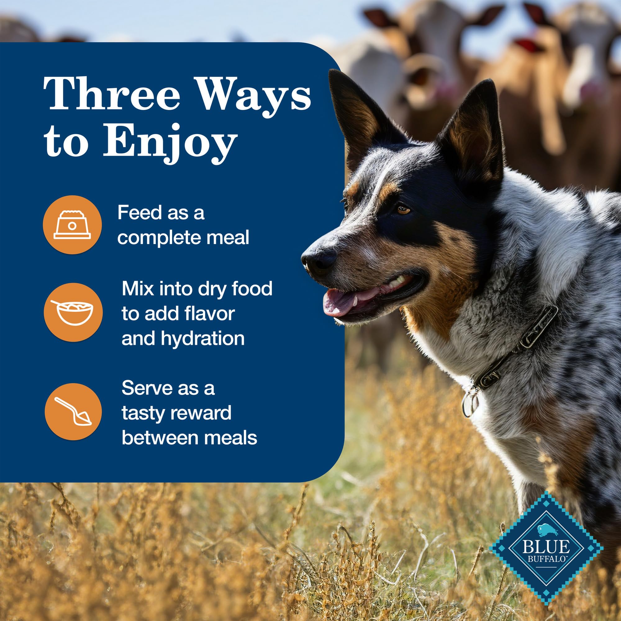 Blue Buffalo Homestyle Recipe Large Breed Adult Wet Dog Food, Made with Natural Ingredients, Chicken Dinner With Garden Vegetabl