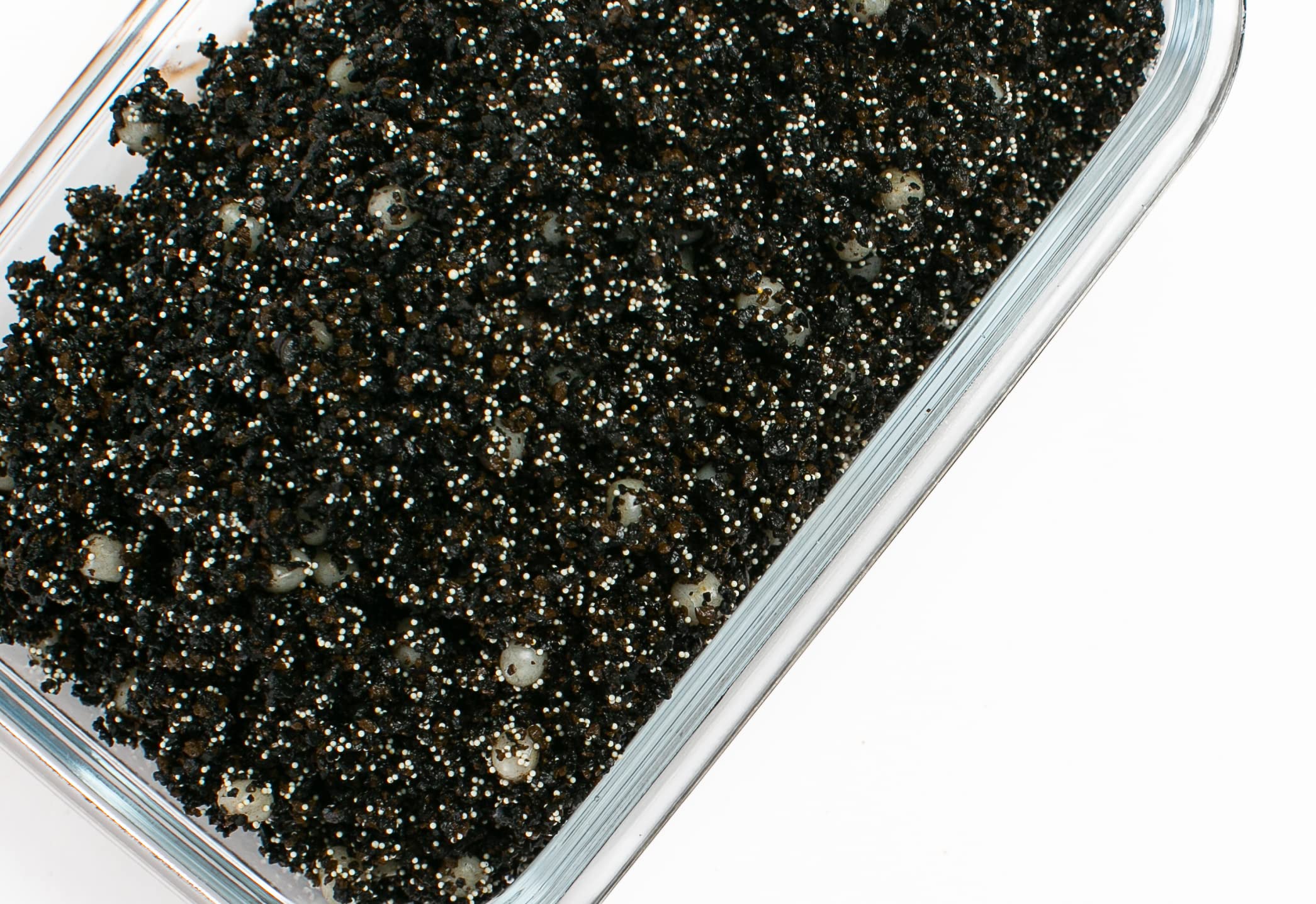 Kolar Labs Clear Complete - Comprehensive, Fast-Acting, Pre-Rinsed, Nitrate and Phosphate Reduction Filter, Large Packet