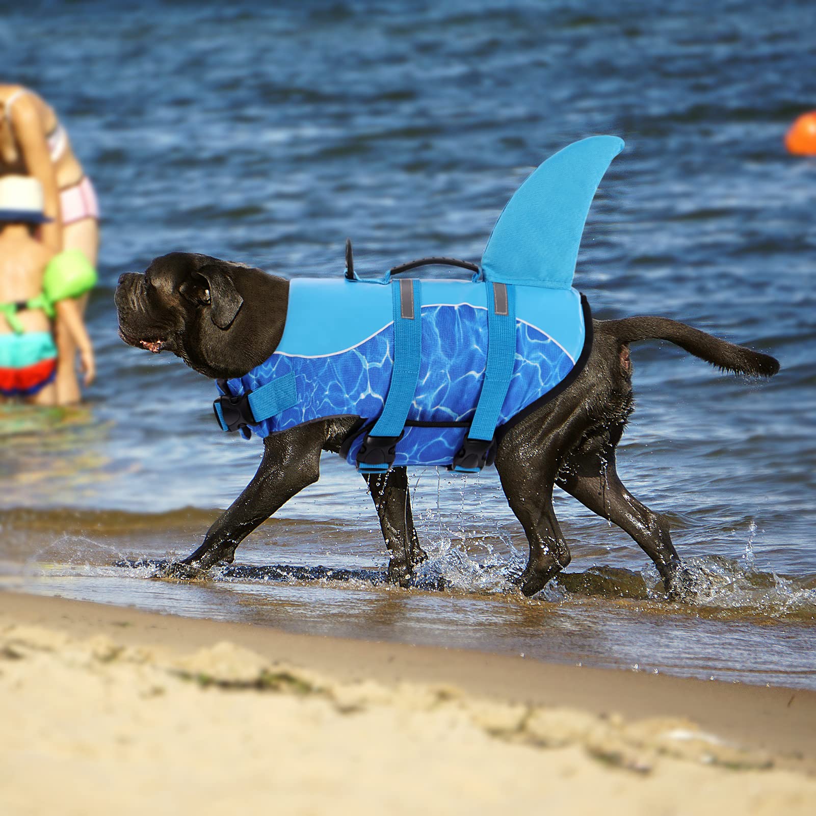 Queenmore Shark Dog Life Jacket - High Buoyant Swimming Vest, Adjustable Easy-On For Small, Medium, Large Dogs (Blue, M)