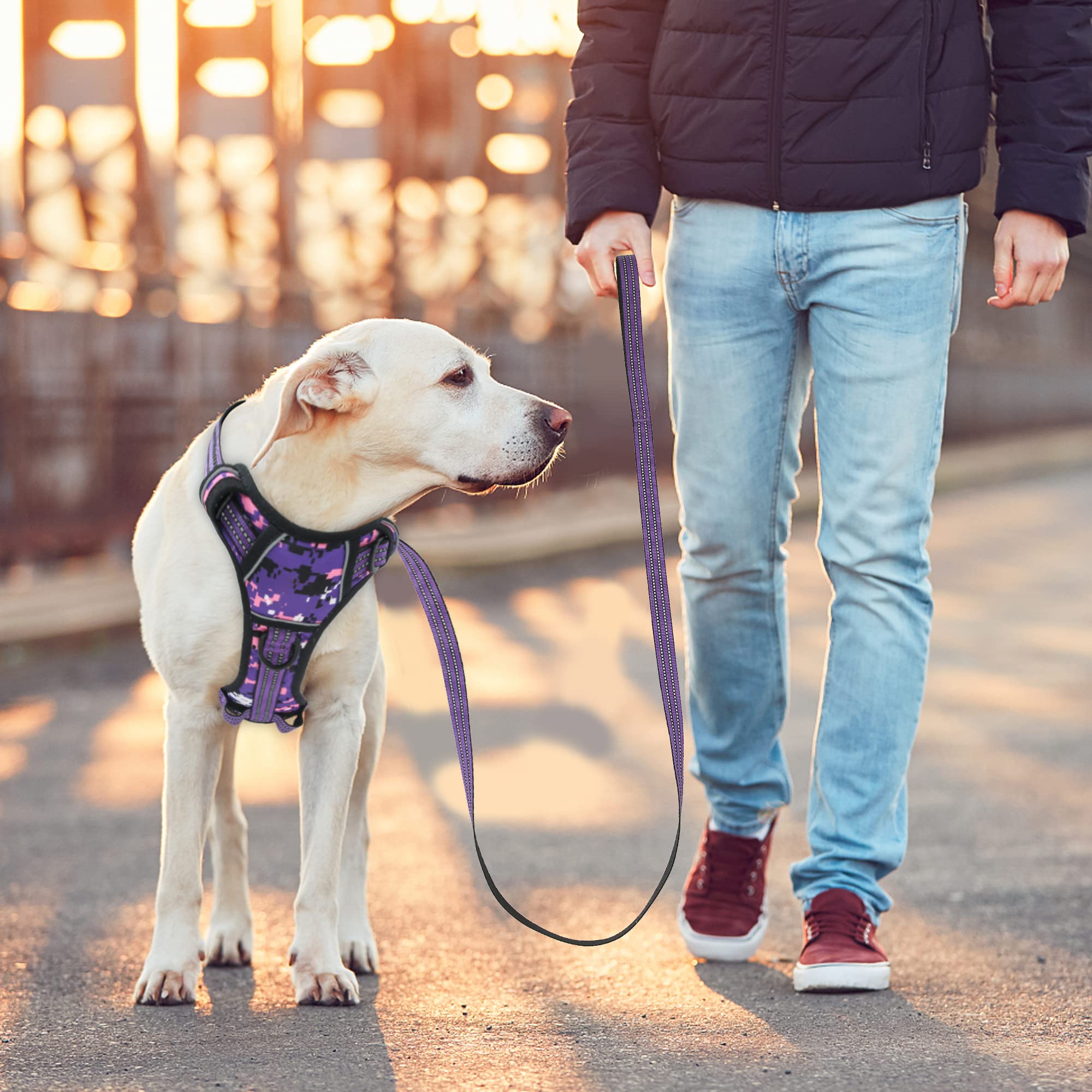 No Pull Dog Harness for Small Dogs, Adjustable No Choke Pet Vest with Dog Leash Fit Smart Reflective Pet Walking Harness for Tra