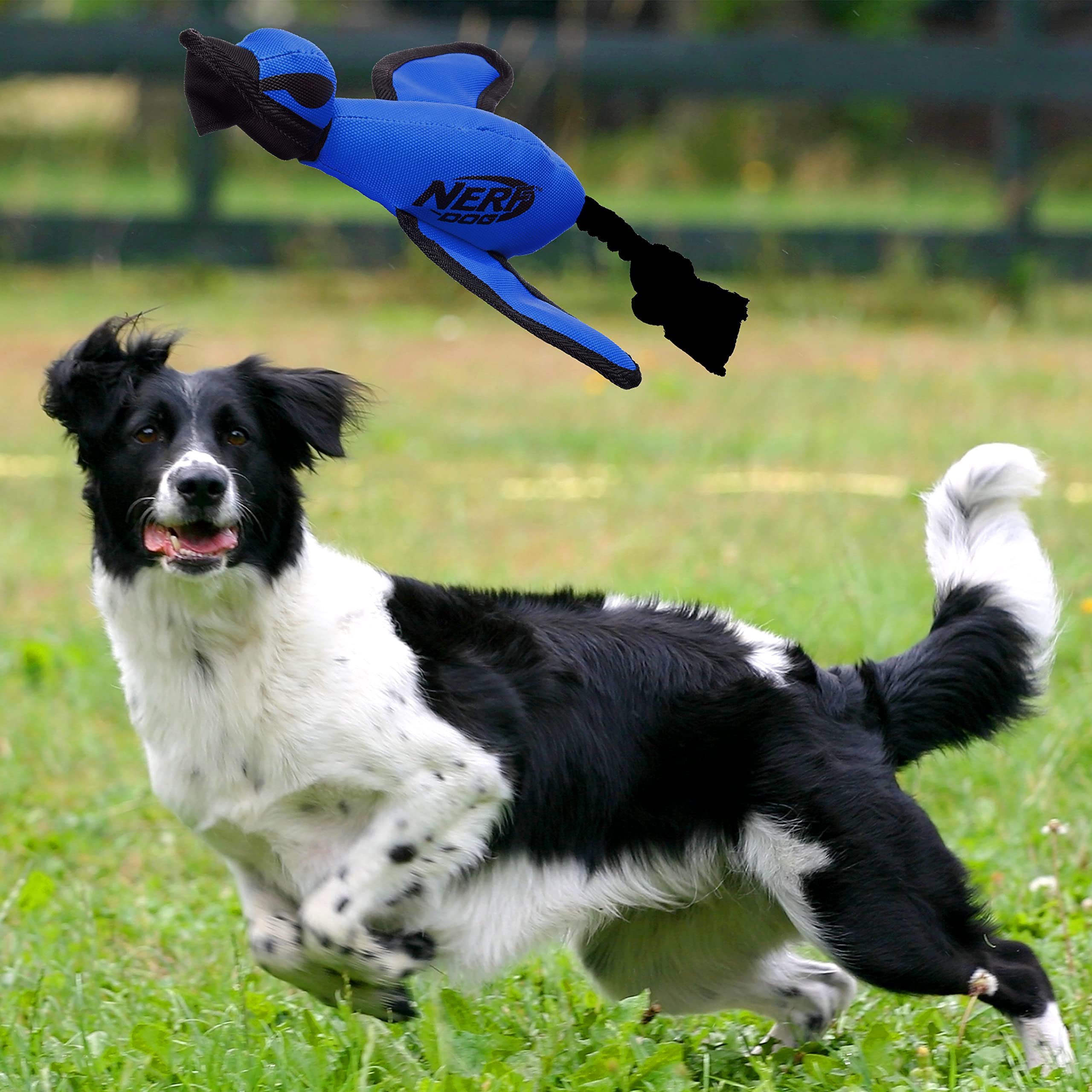 Nerf Dog Large Nylon Launching Duck With Interactive Design, Blue (3473), For All Breed Sizes