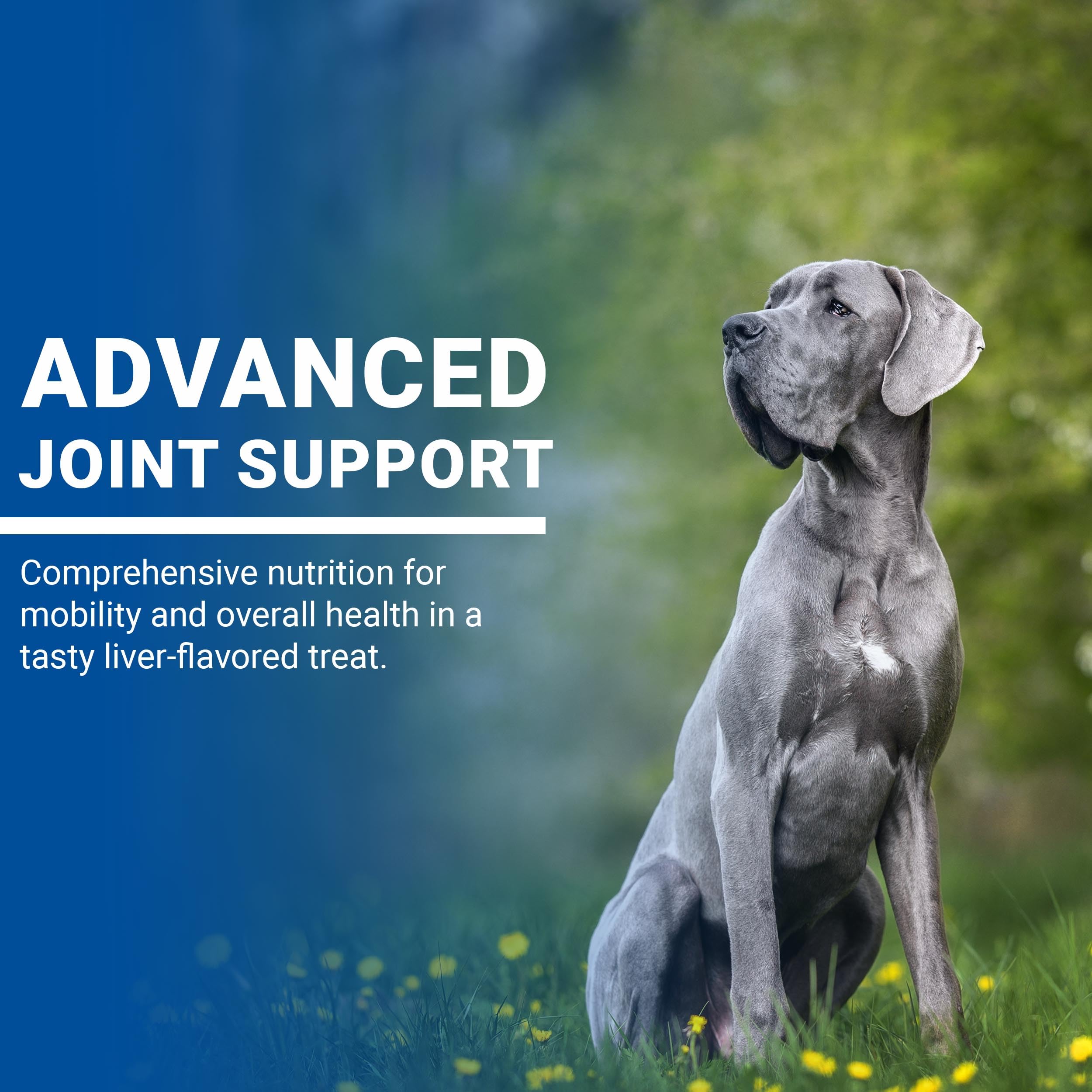 CLASSIC VPS SynovialMax Hip & Joint Soft Chews for Dogs, 240 Count, Supports Joint Health