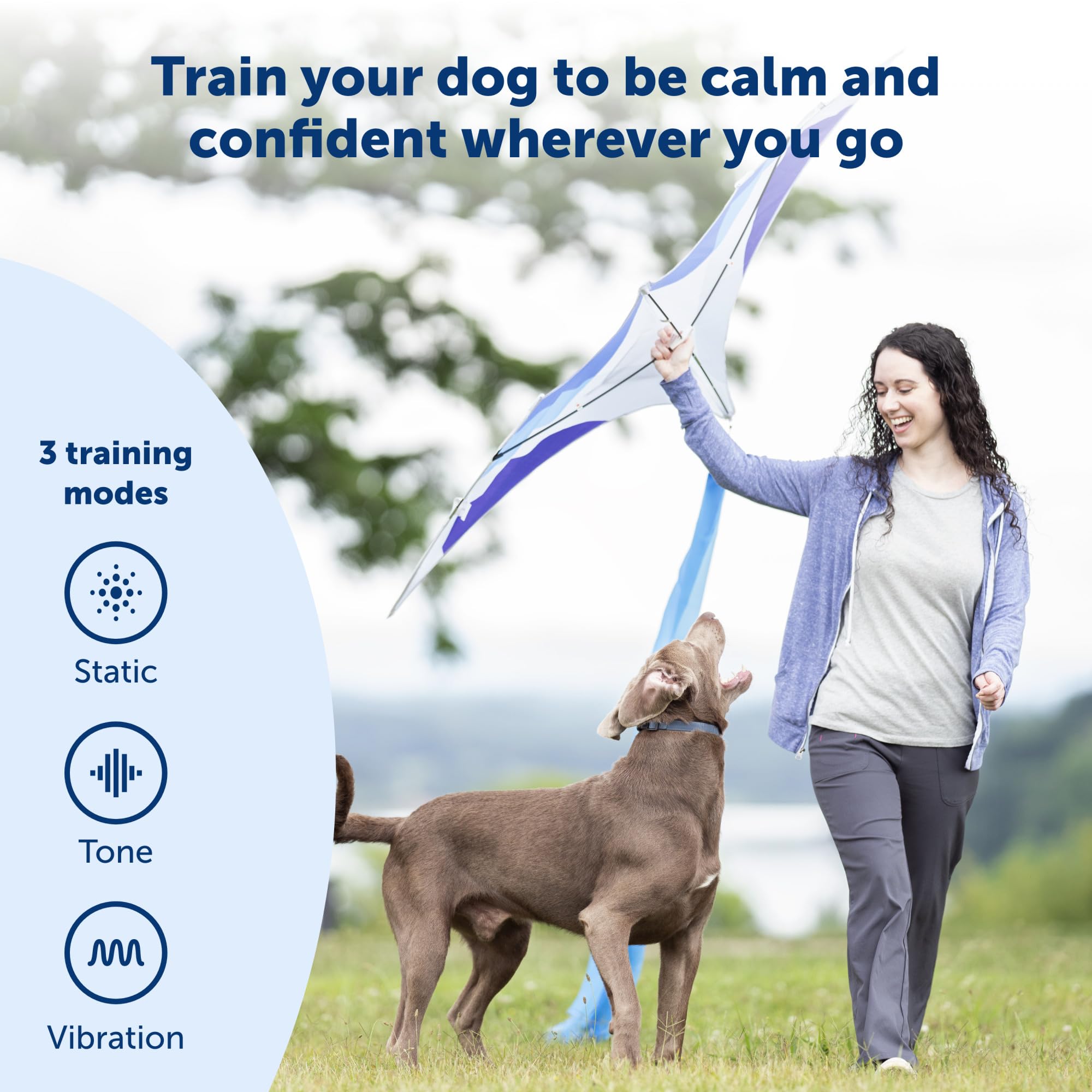 Petsafe 900 Yard Remote Training Collar - Choose From Tone, Vibration, Or 15 Levels Of Static Stimulation - Longest Range Option For Training Off Leash Dogs - Waterproof And Durable - Rechargeable