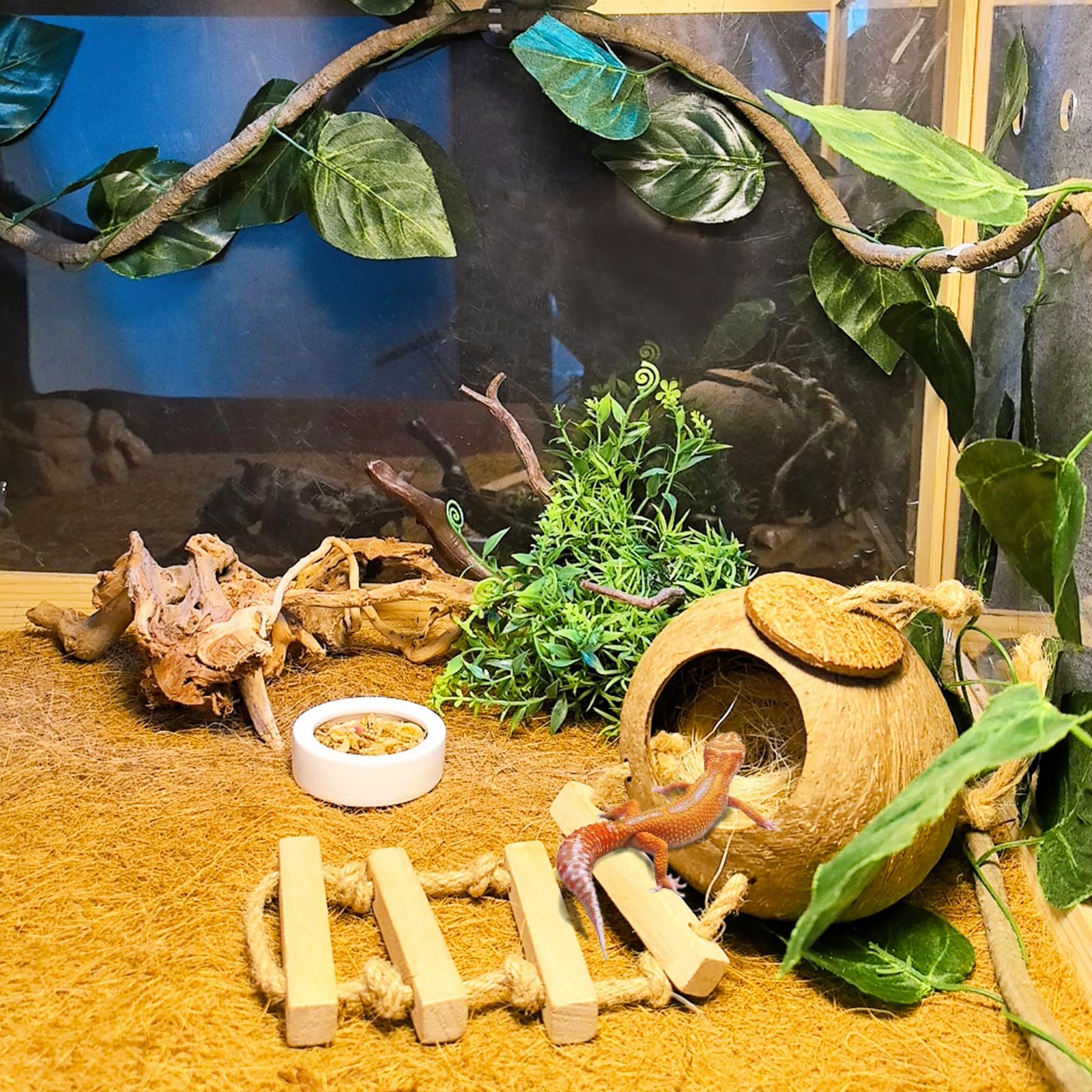 Tfwadmx Crested Gecko Coconut Hide,Leopard Gecko Coco Hut Hideout Cave With Ladder,Reptile Hanging Coconut Hut & Climbing Vine,Ideal Habitat Accessory For Hermit Crab, Snake,Lizard