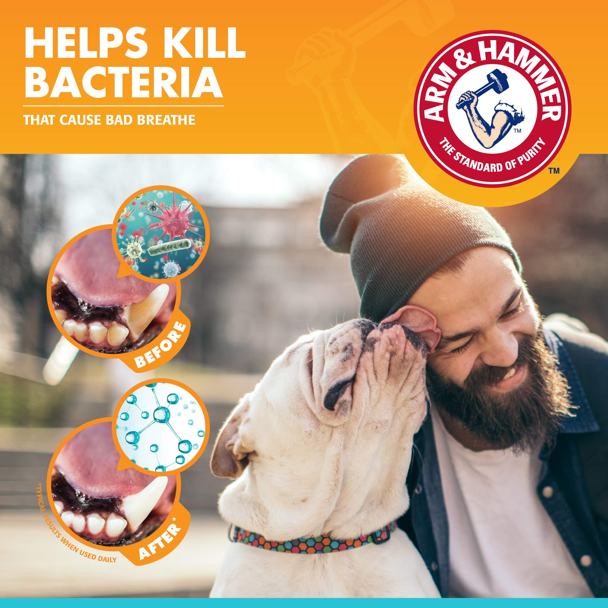 Arm & Hammer Dental Enzymatic Toothpaste for Dogs, 2.5 oz, 72 Pack - Soothes Gums, Fresh Breath Vanilla Ginger, Safe for Puppies