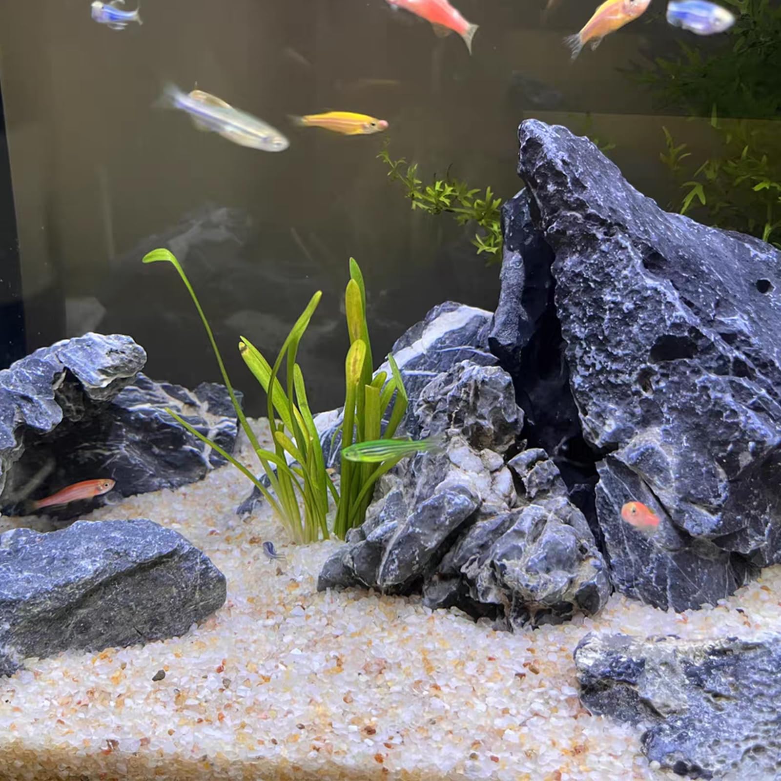 FANTIAN 10 lbs Aquarium Silica Sand. Decorative Mini Aquarium Gravel Substrate for Fish Tank, Plants Potted, Fire Pits, Candle,