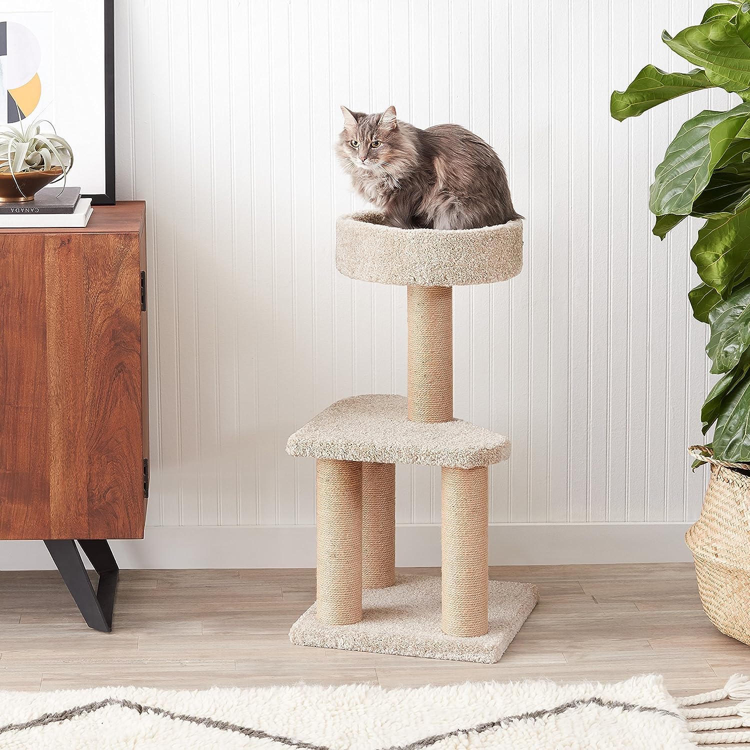 Amazon Basics Cat Tree - Indoor Cat & Kittens Multi-Level Climbing Activity Tower With Scratching Posts, Medium (31.5''H) - Beig