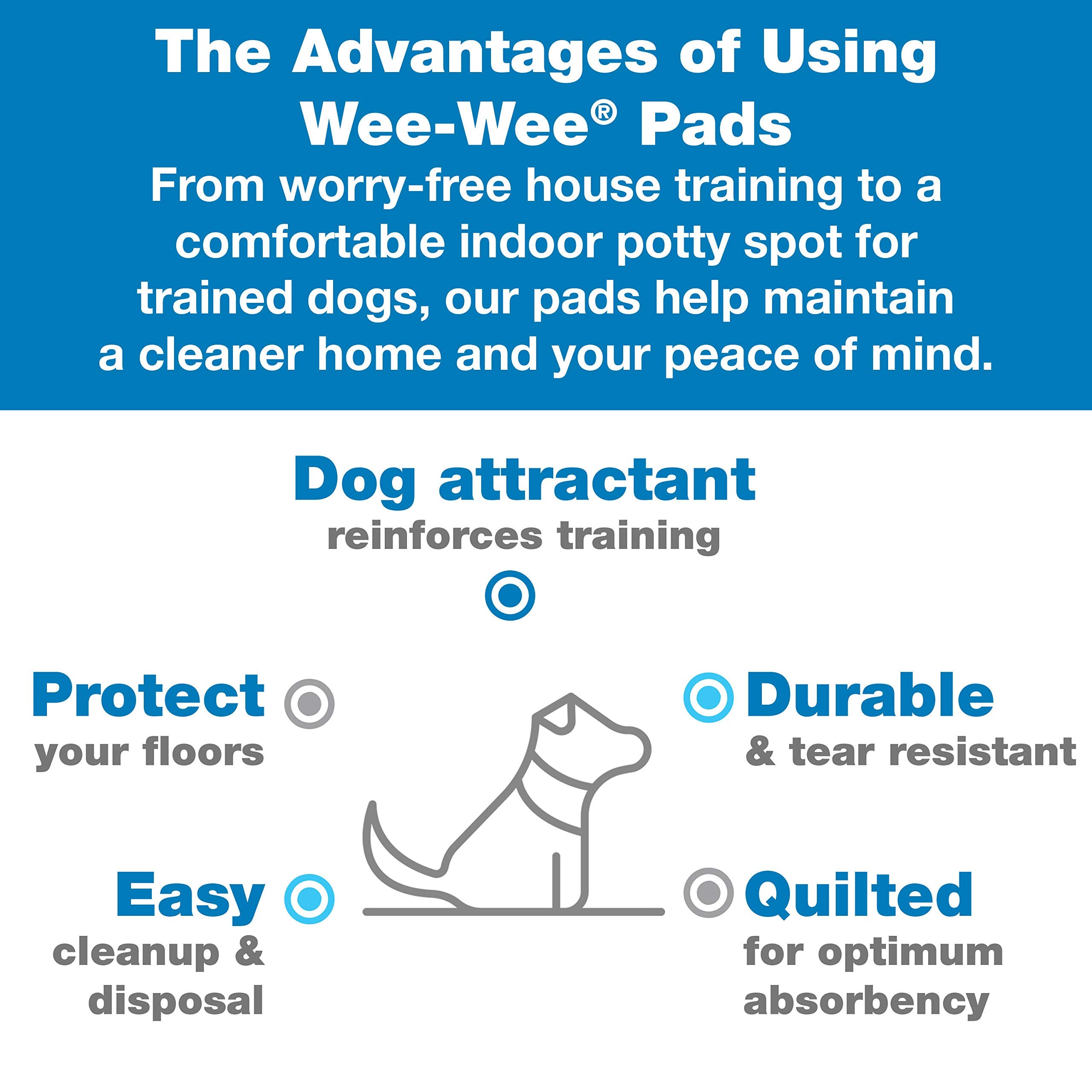 Four Paws Wee-Wee Silicone Pee Pad Holder For Dogs & Puppies, Washable Dog Housebreaking Potty Training Floor Protection, 22' X 23', 1 Count