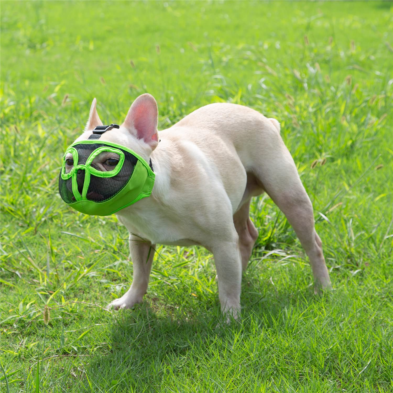 Jyhy Short Snout Dog Muzzles- Adjustable Breathable Mesh Bulldog Muzzle For Biting Chewing Training Grooming Dog Mask,Green L