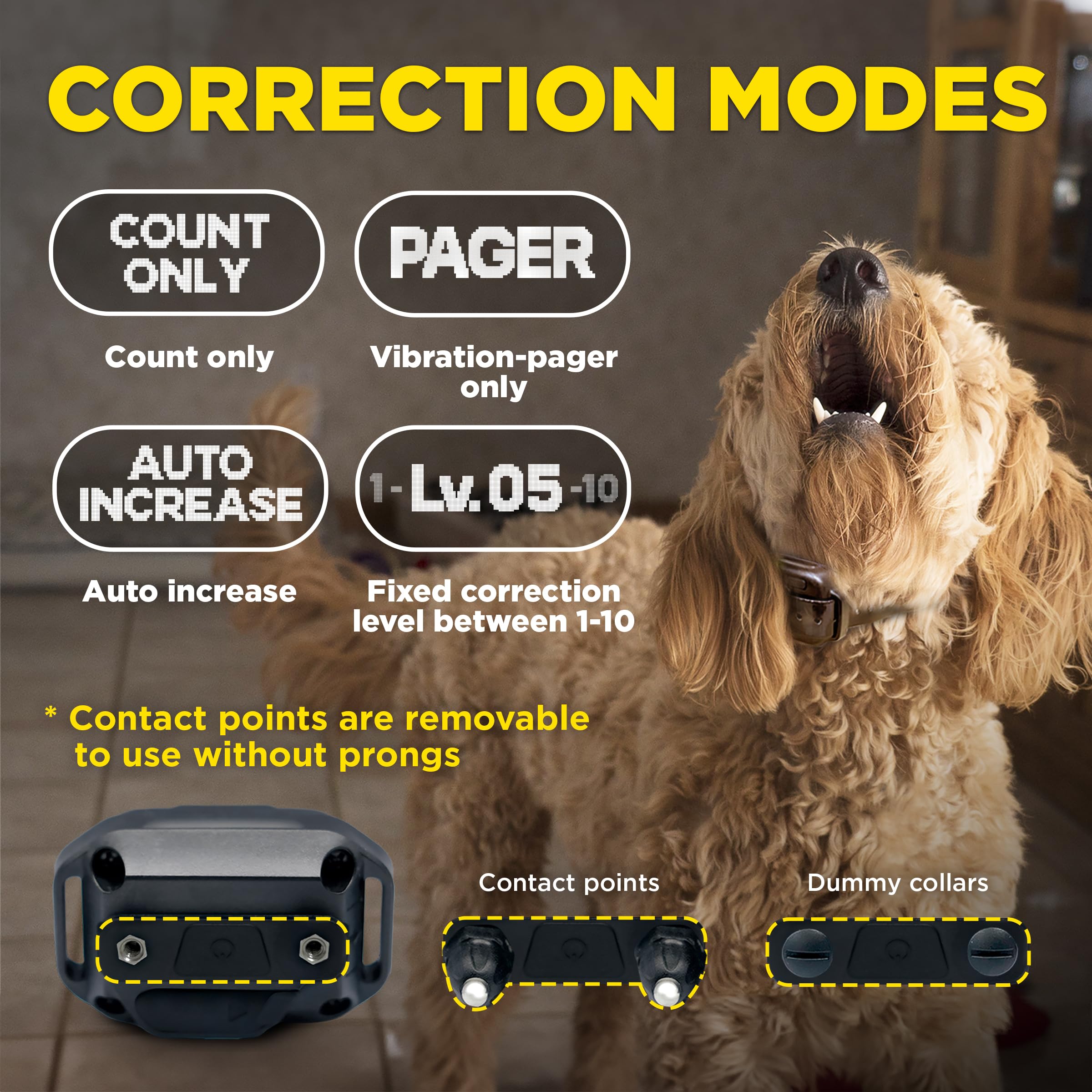 Dogtra Smart NOBARK E-Collar - 33 ft Range, Waterproof IPX9K, Compact for 10 lb Dogs, New Edition