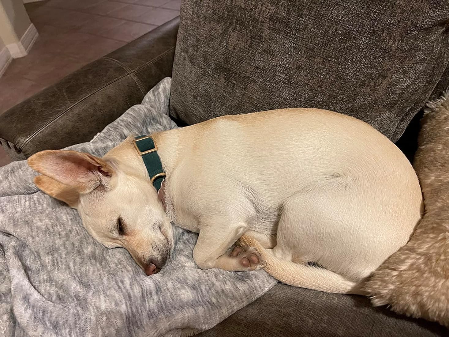 Ewinoom Soft Corduroy Dog Collar and Leash Set, Adjustable Cotton Dog Collars with Metal Buckle and Lead for Medium Dogs,Dark Gr