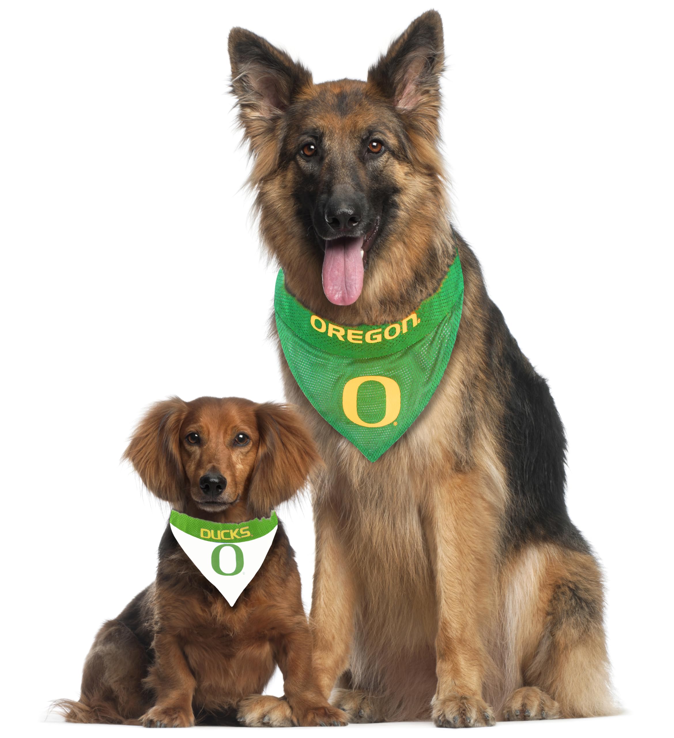 Pets First Collegiate Pet Accessories, Reversible Bandana, Oregon Ducks, Small/Medium