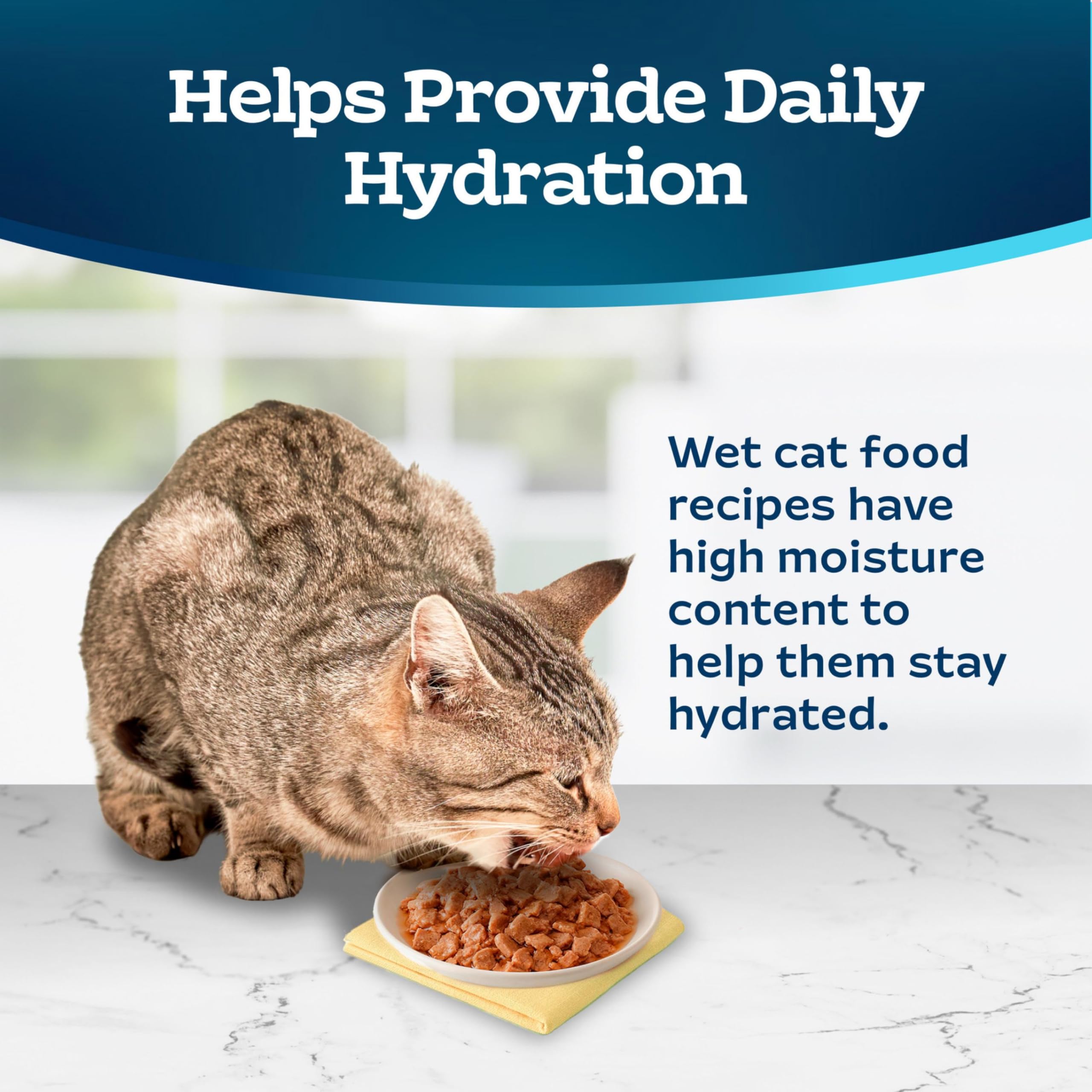 Blue Buffalo Tastefuls Flaked Wet Cat Food, Made with Natural Ingredients, Fish & Shrimp, 3-oz Cans (24 Count)