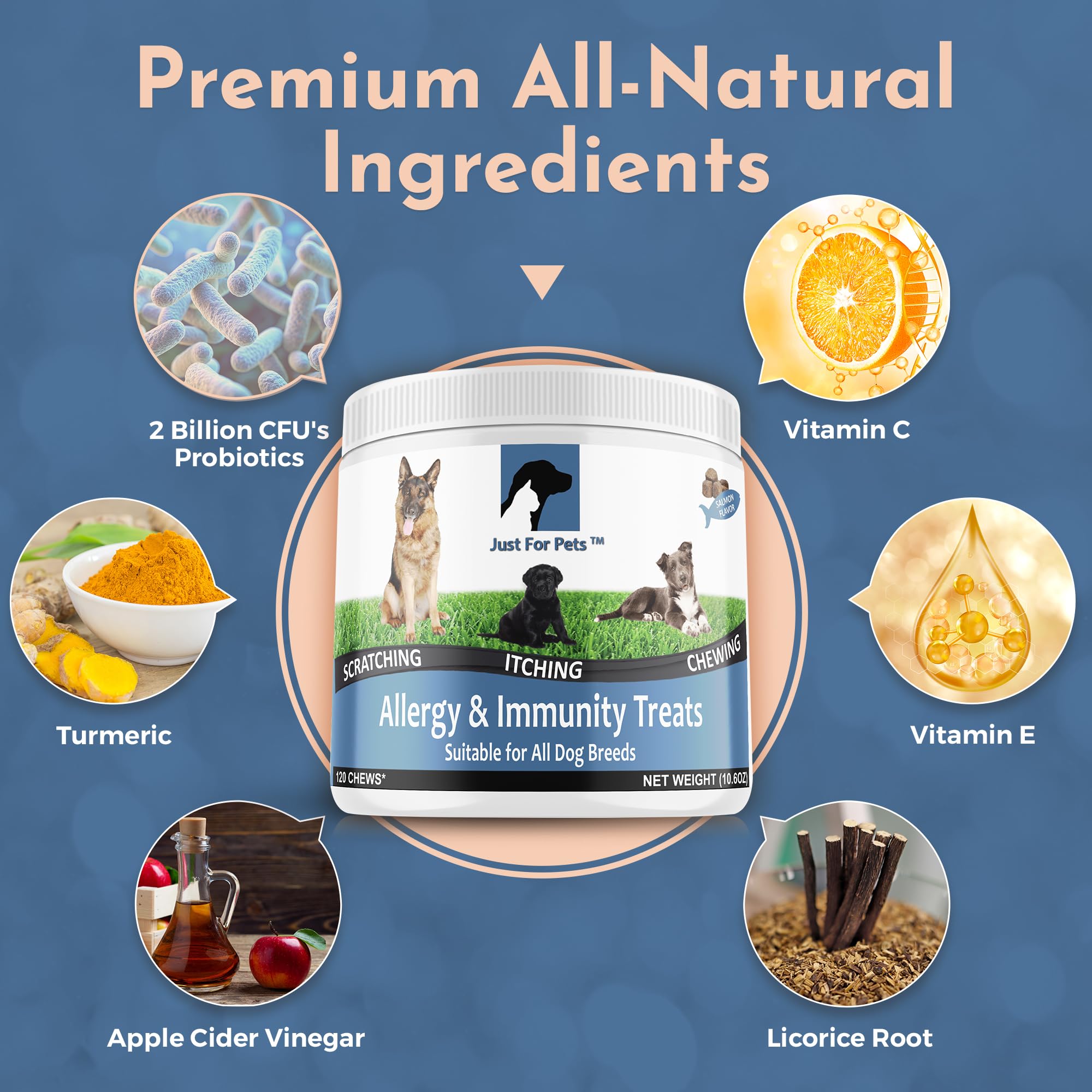 Dog Allergy Relief Chews - Itching Skin Relief with Probiotics and Turmeric for Dogs - Itchy Skin, Hot Spots, Paw Licking, Aller