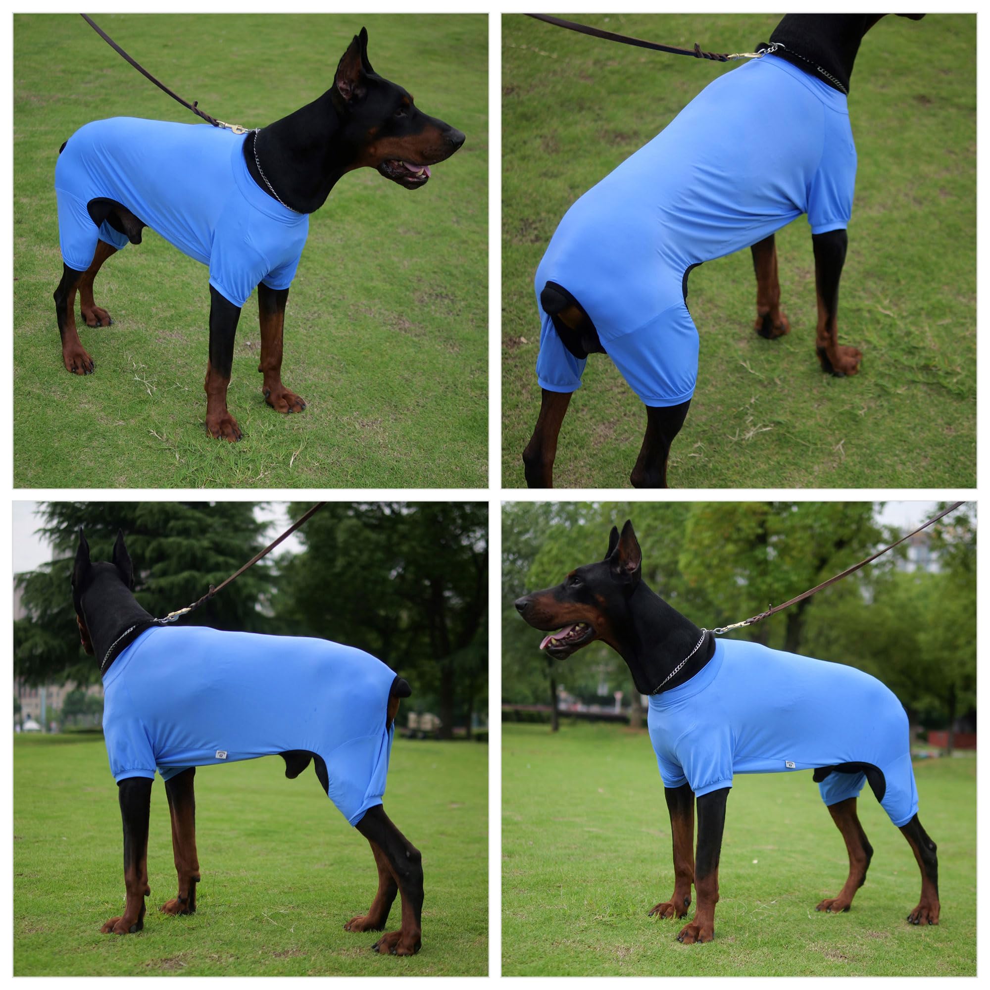 Lovelonglong Dog Jumpsuit With Uv Protection And Quick-Dry Fabric For Spring Summer Pet Pajamas Sea Blue Xs