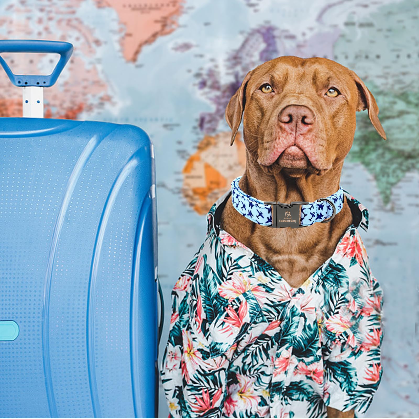 Lionheart Glory Dog Collar, Blue Dog Collar Boy Dog Collars Heavy Duty Adjustable Collar For Large Dogs Pet Gift