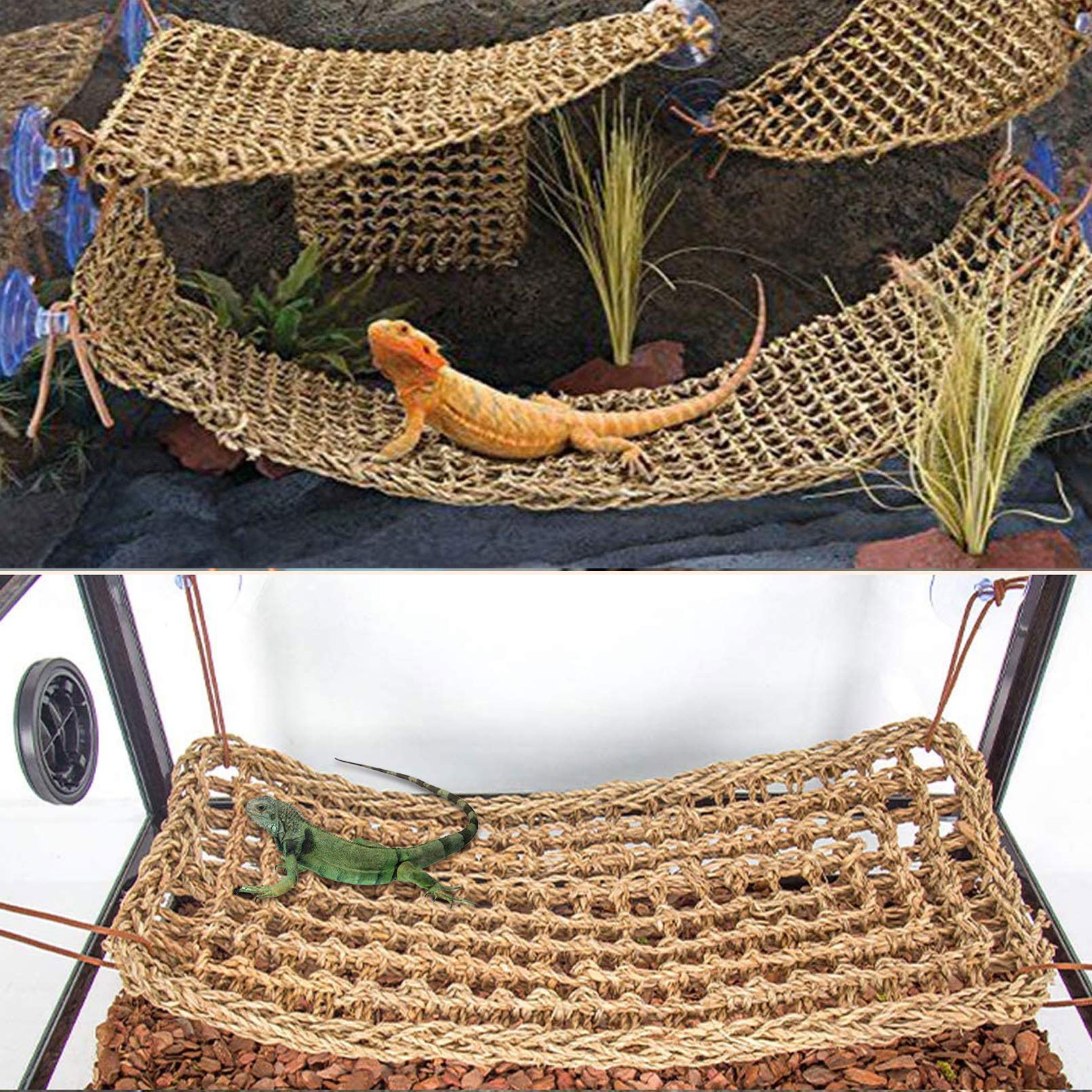 PINVNBY Bearded Dragon Tank Accessories,Reptiles Resin Human Skull Habitat Decor,Lizard Hammock Coconut Shell Hut Hideouts Cave