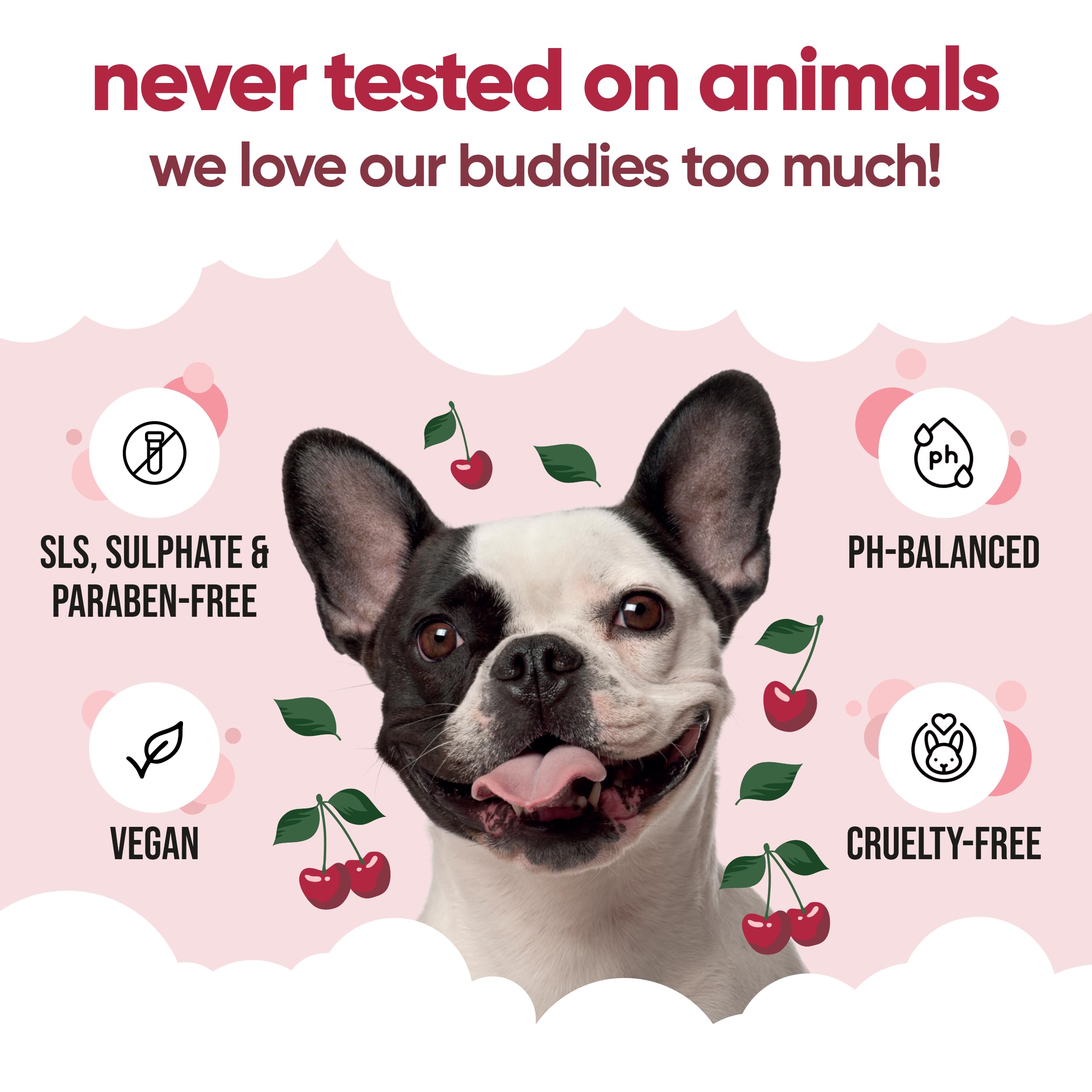 Buddycare Black Cherry Dog Conditioner (16.90oz) Made with Aloe Vera, Argan Oil & Pro Vitamin B5 | Detangle Matted Coats & Relie