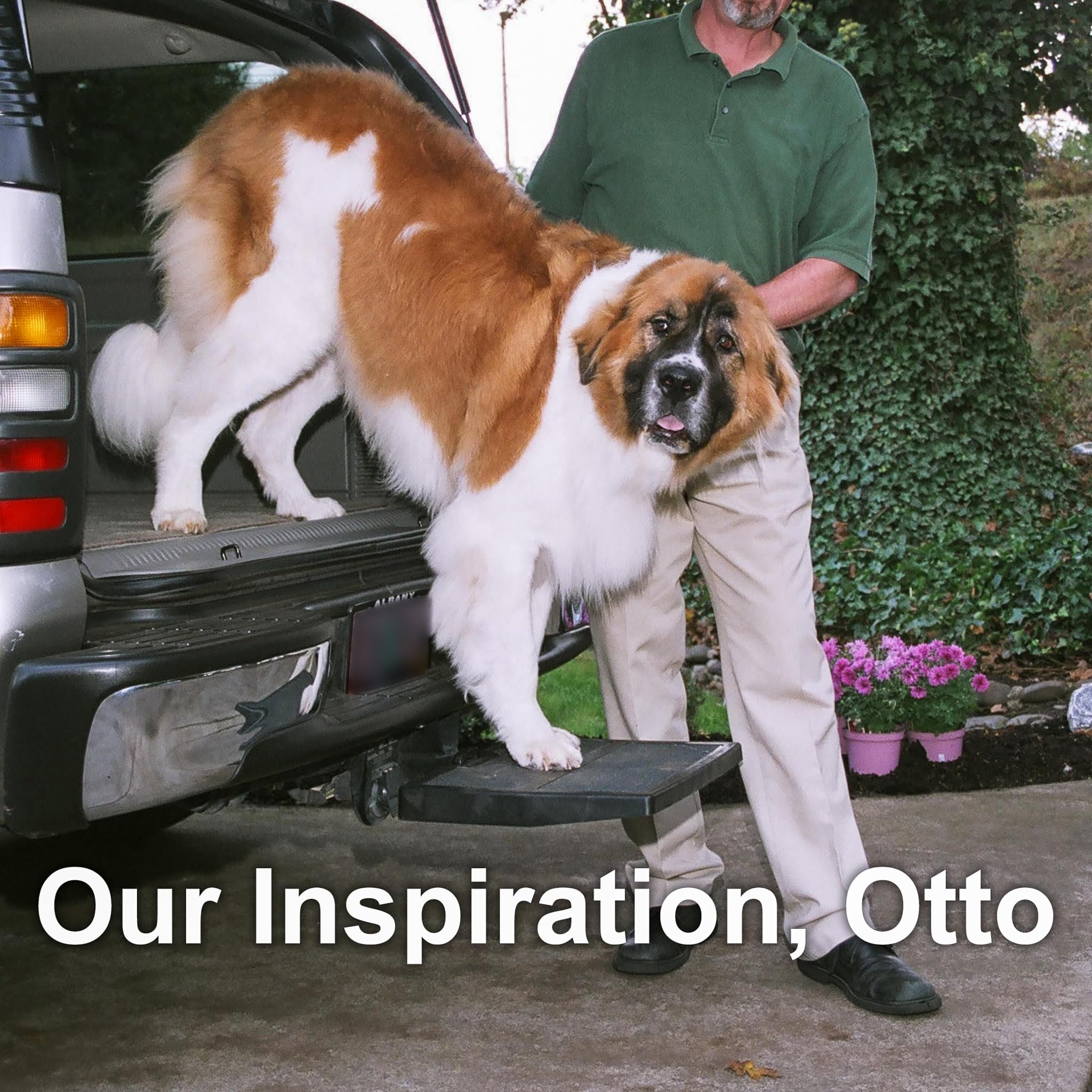 Otto Step Car Pet Ramp Pet Step