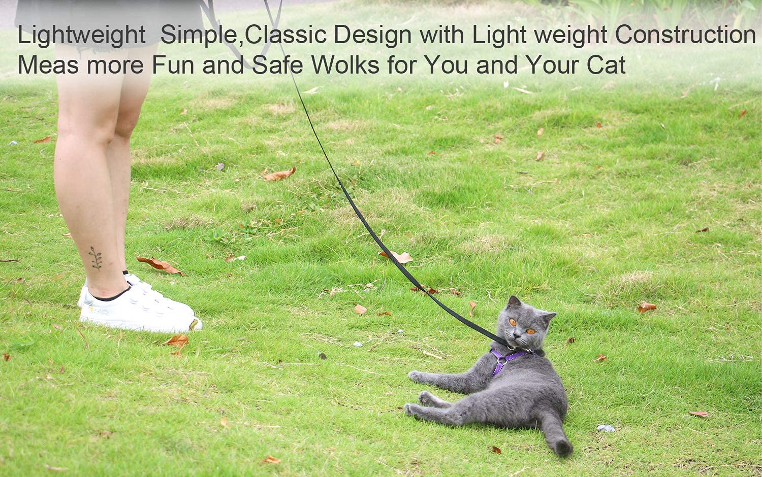 6 Ft Puppy/Dog Leash, Strong And Durable Traditional Style Leash With Easy To Use Collar Hook,Dog Lead Great For Small And Medium And Large Dog(Black,5/8' X 6 Feet) (Black)