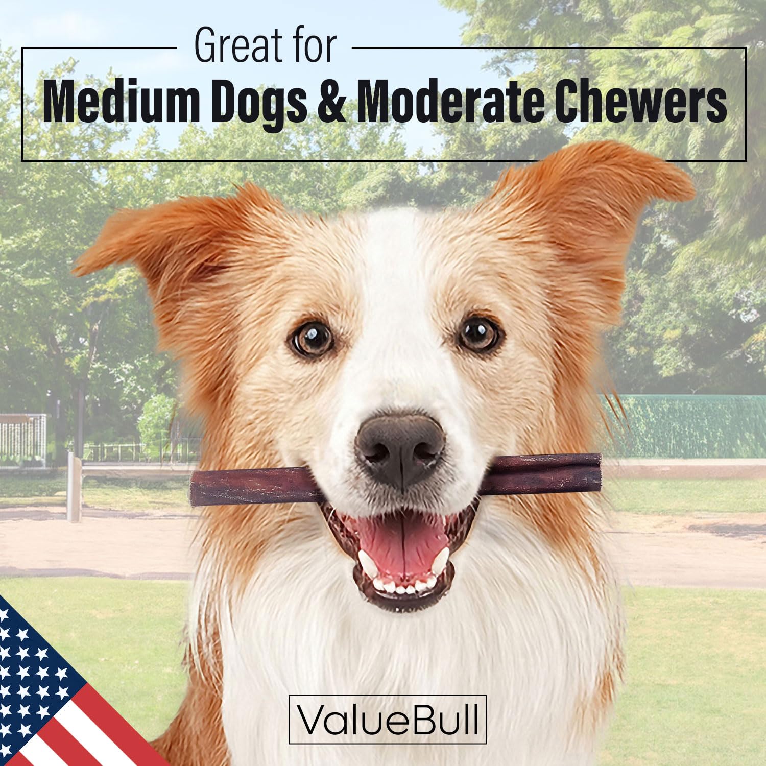 ValueBull USA Collagen Sticks for Dogs, 6 Inch Medium Chews, Natural Long-Lasting Dog Treats, 400 Count Wholesale Pack - Promote