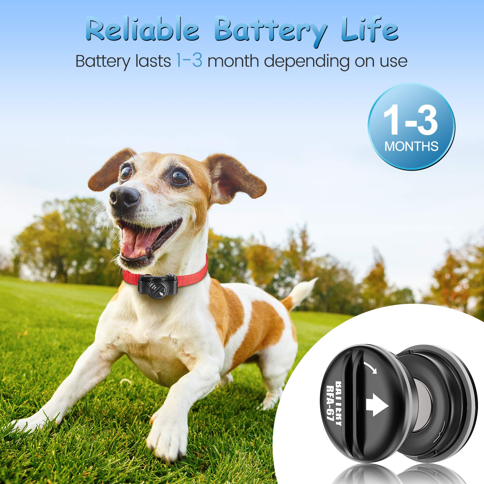 Kgc Rfa-67 6 Volt Replacement Dog Collar Batteries, Ultra Fit Pif-300 Rf300 Pif-275-19 Prf-3004W Pul-250 Pul-275 Pig00-13661 Pbc