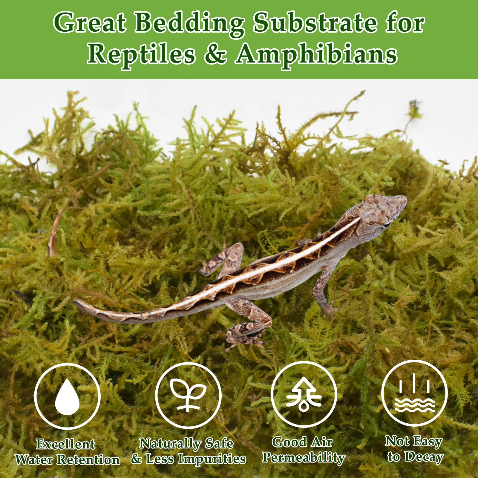 Halatool 2.5Lb Natural Sphagnum Moss For Reptiles- 60Qt Green Live Moss For Terrarium Plants Long Fiber Reptile Moss For Leopard