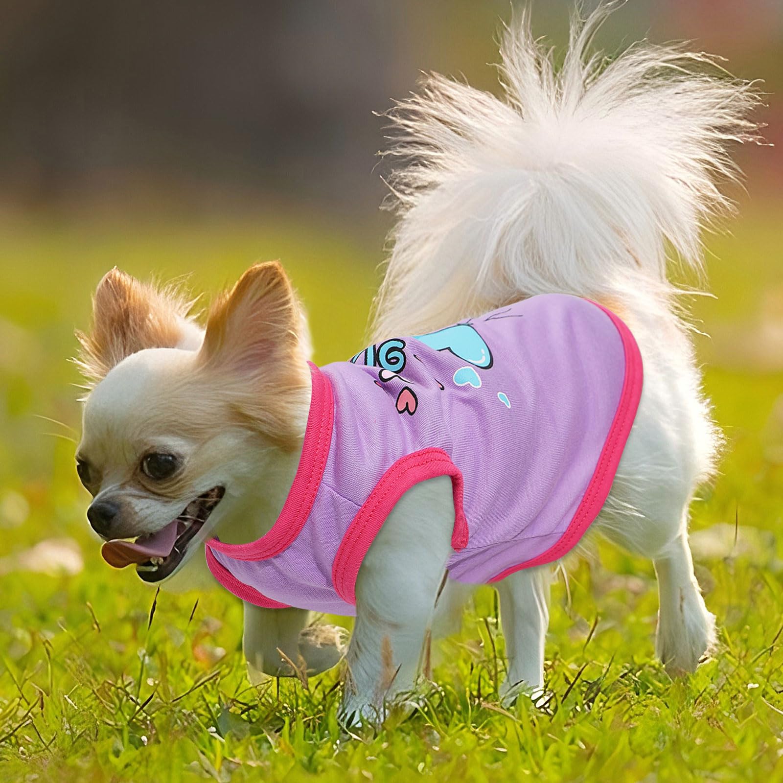4 Pieces Dog Shirts Dog Clothes For Small Dogs Girl Boy Summer Puppy Clothes For Chihuahua Yorkie Soft Cute Pattern Pet Cat Clot