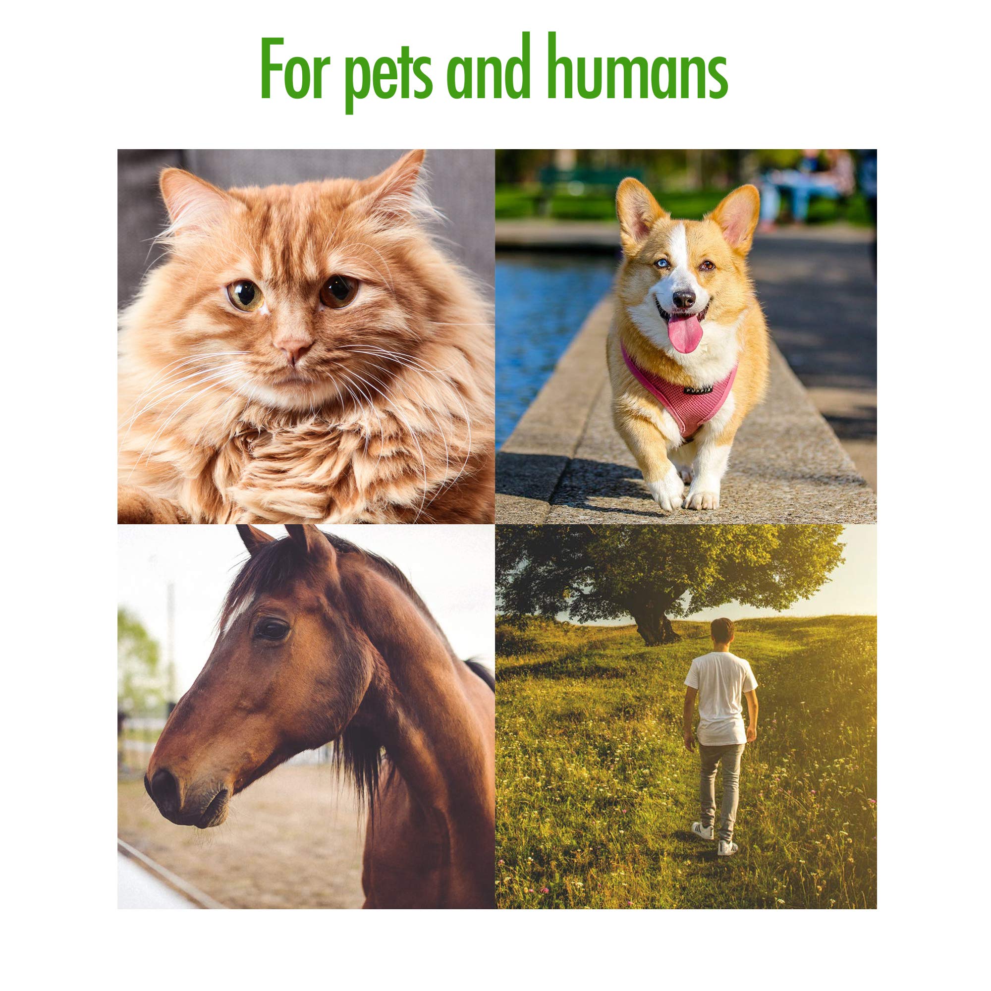 Zenpet Tick Tornado - Tick Remover For Dogs & Cats & People - Value Pack - Easy And Fast Tick Removal Tool (1 Pack)