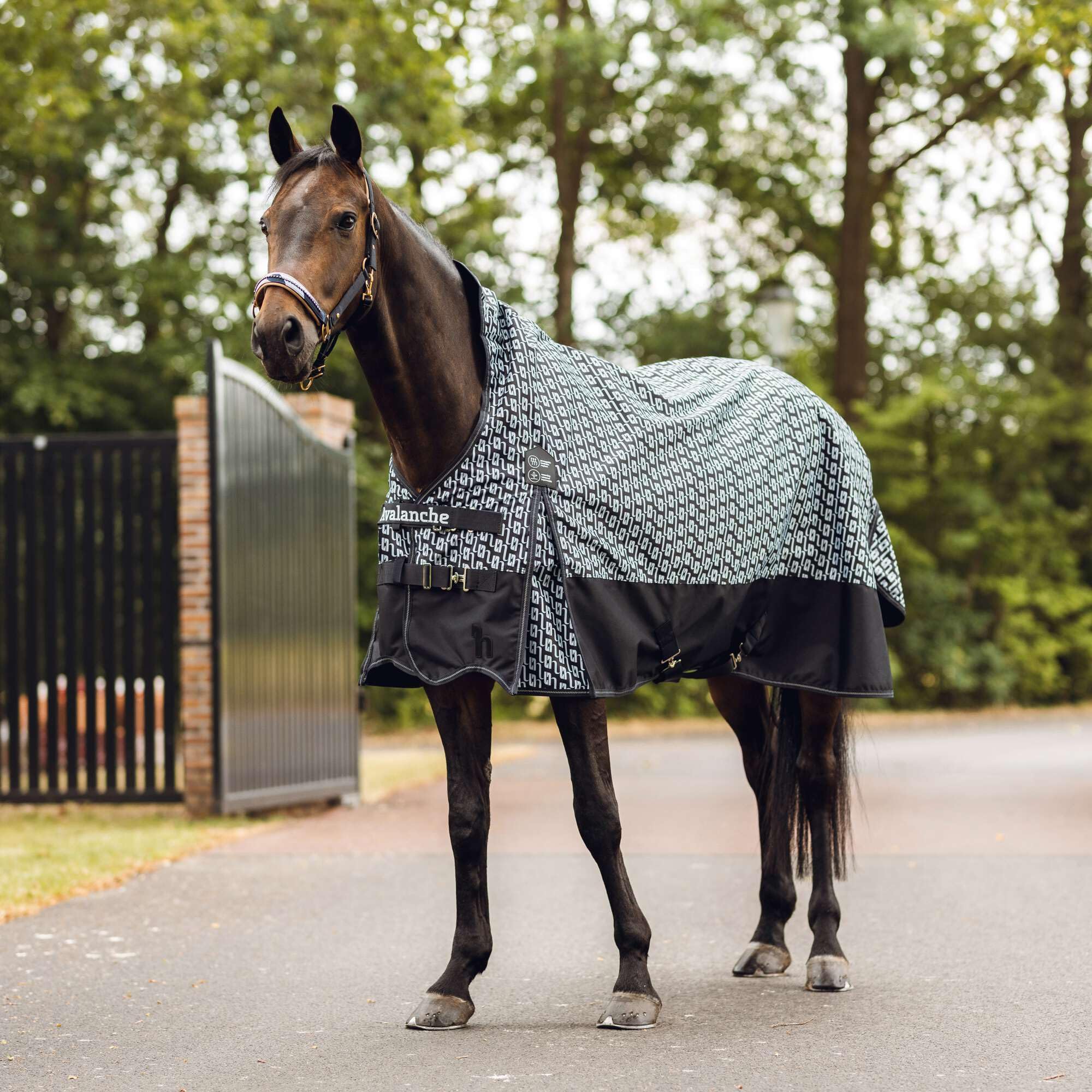 HORZE Avalanche 1200D High Neck Turnout Rain Sheet (No Fill) | Lightweight Waterproof Horse Blanket - Dark Navy/Dawn Grey Print