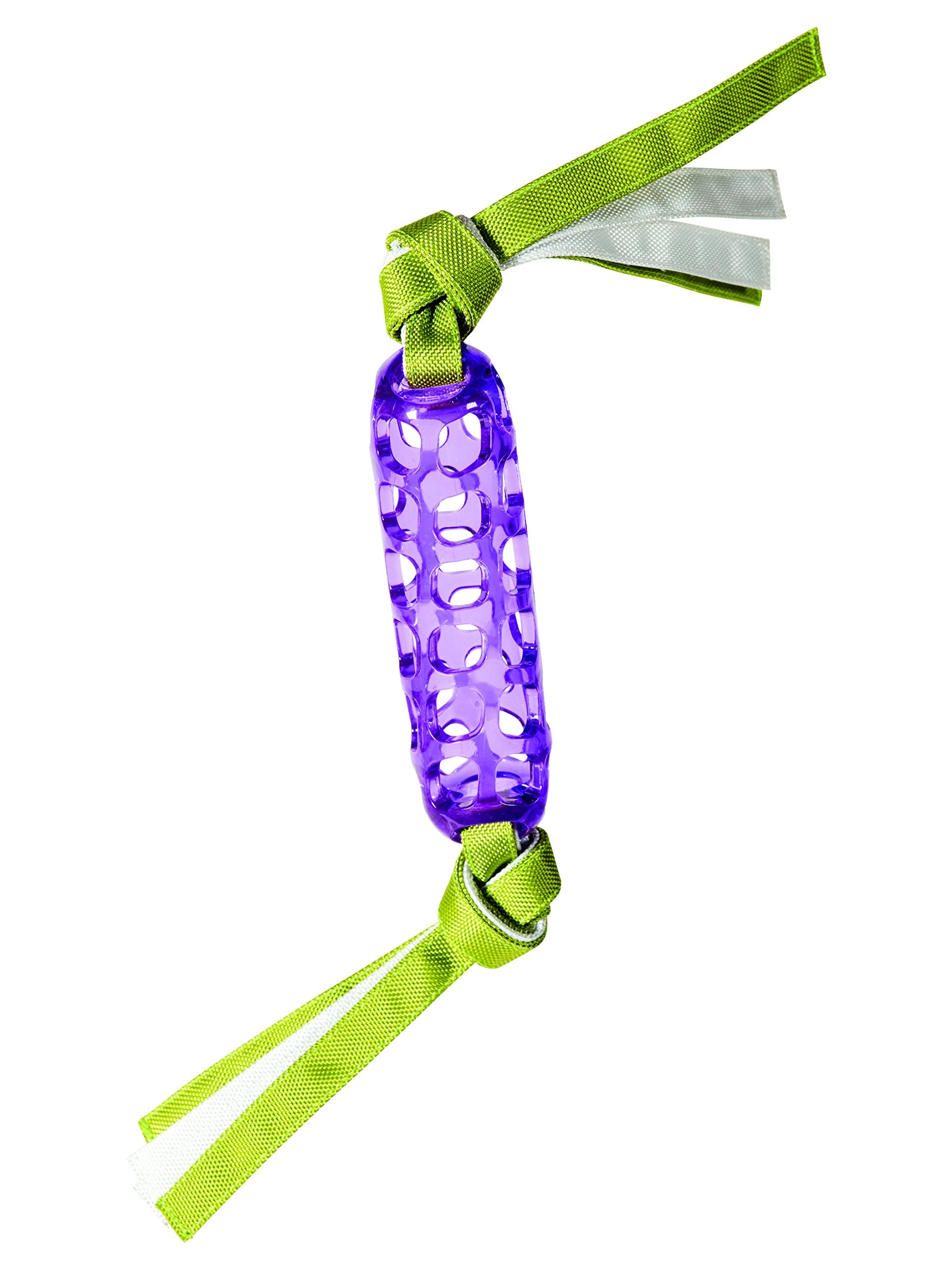 Caitec Corp (Caiab) Hero Tugtime Soft Rubber Baton, Purple Dog Toy