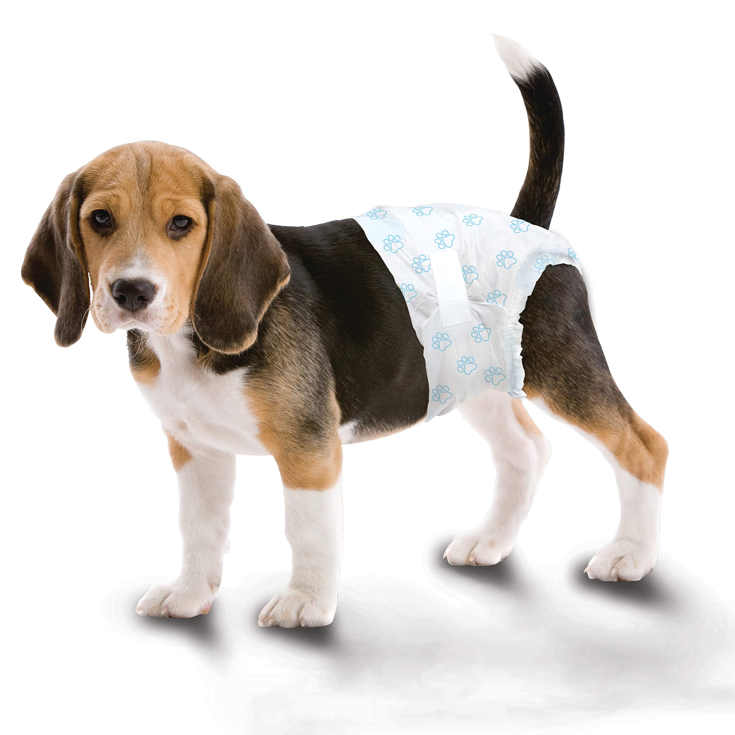 Four Paws Wee-Wee Super Absorbent Disposable Dog Diapers, Medium (12 Count)
