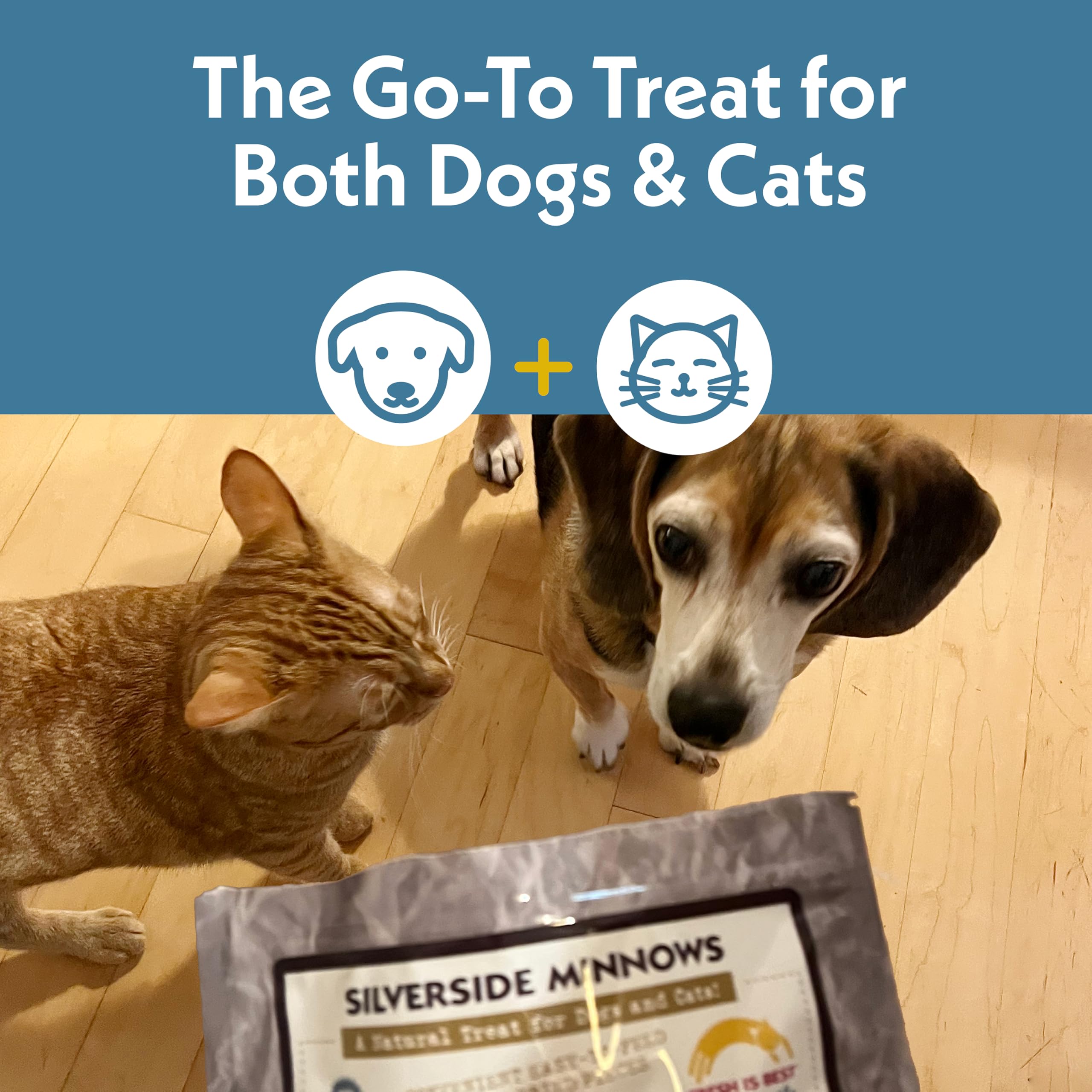 Fresh Is Best - Freeze Dried Healthy Raw Meat Treats for Dogs & Cats - Silverside Minnows