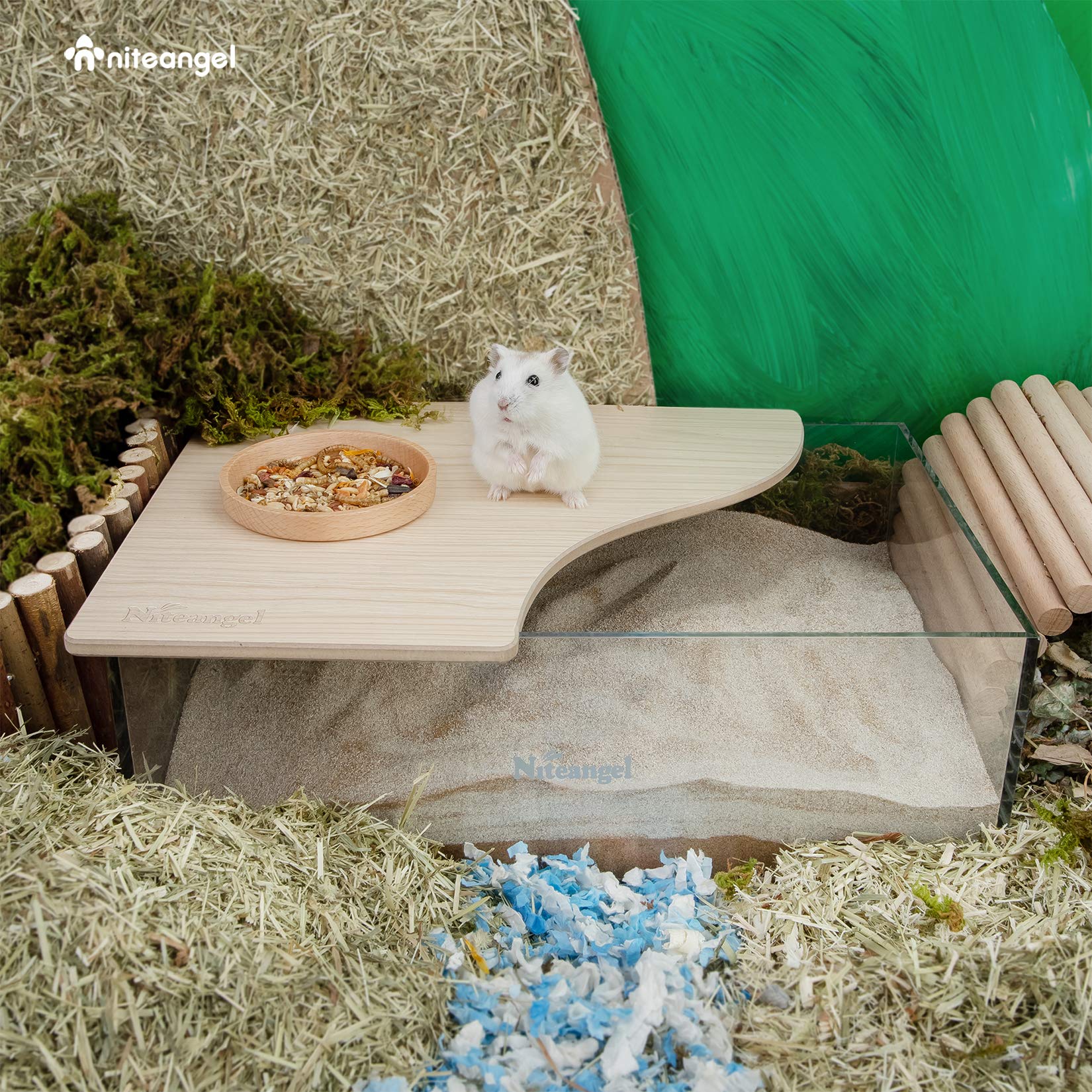 Niteangel Animal Sand-Bath Box: - Acrylic Critter 'S Sand Bath Shower Room & Digging Sand Container For Hamsters Mice Lemming Ge