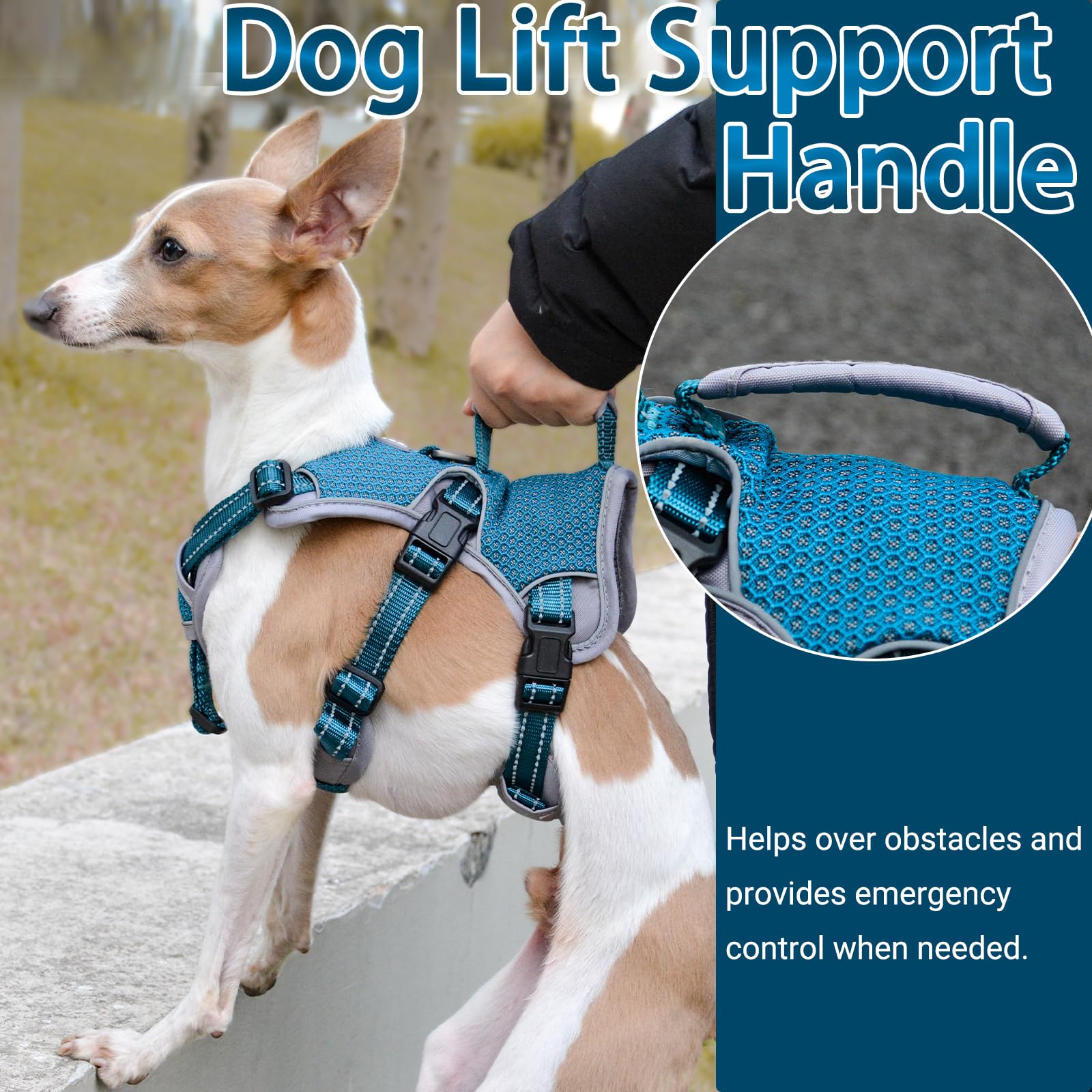 Belpro Multi-Use Support Dog Harness, Escape Proof No Pull Reflective Adjustable Vest With Durable Handle, Dog Walking Harness For Big/Active Dogs (Blue, S)