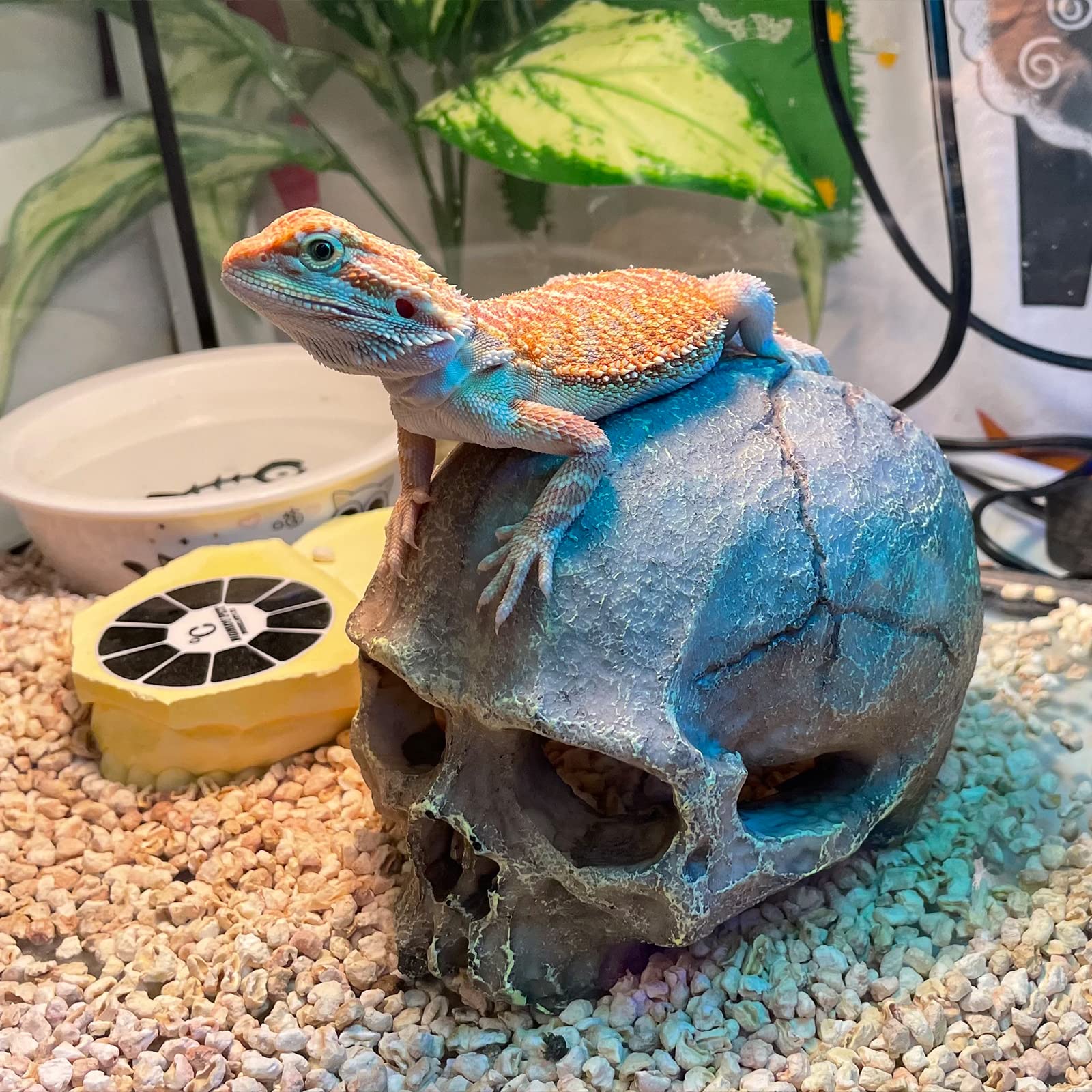 Aufeeky Halloween Human Skull Reptile Hide, Grey Reptile Hides And Caves For Ball Python Leopard Gecko Snake Bearded Dragon Liza