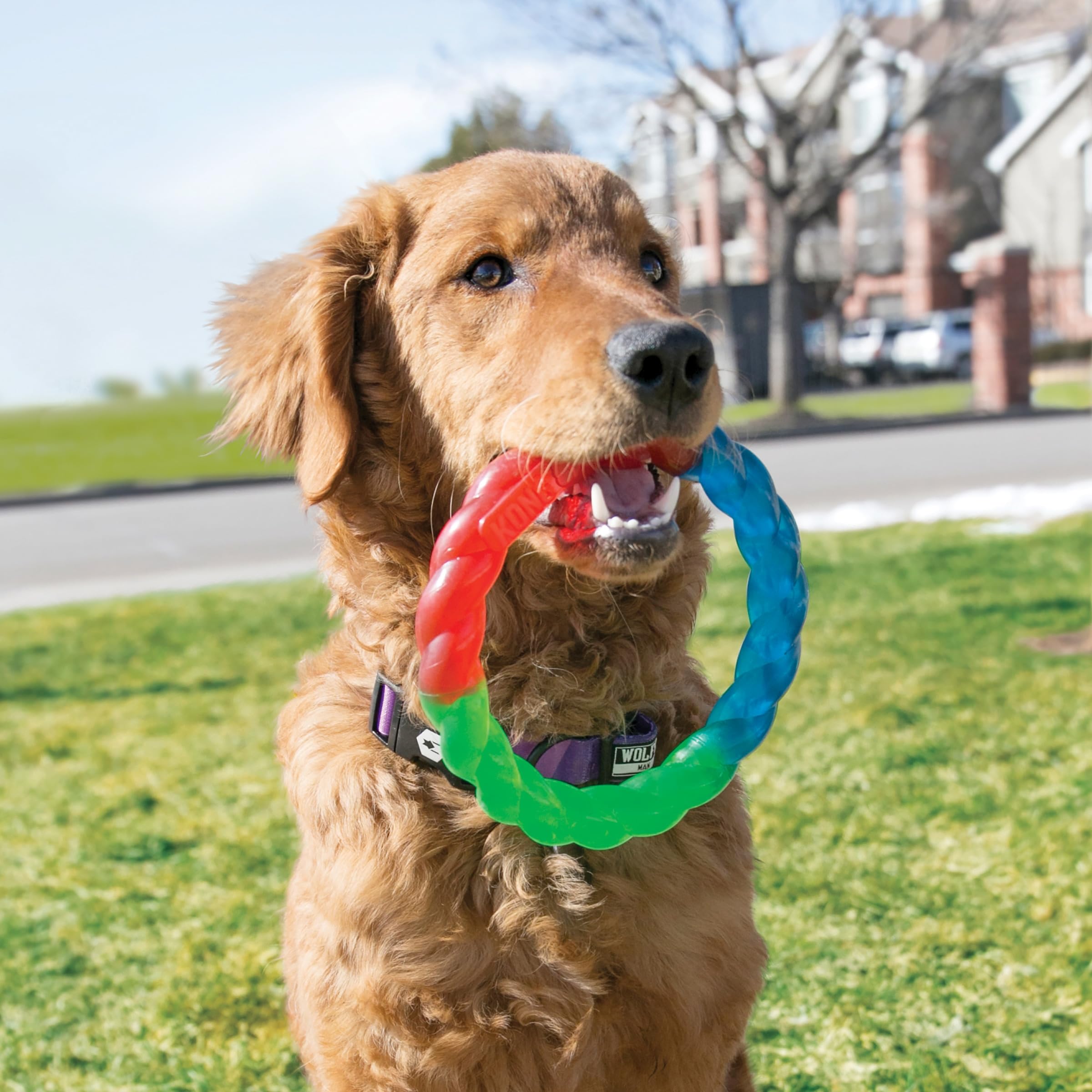 Kong Twistz Ball Lg
