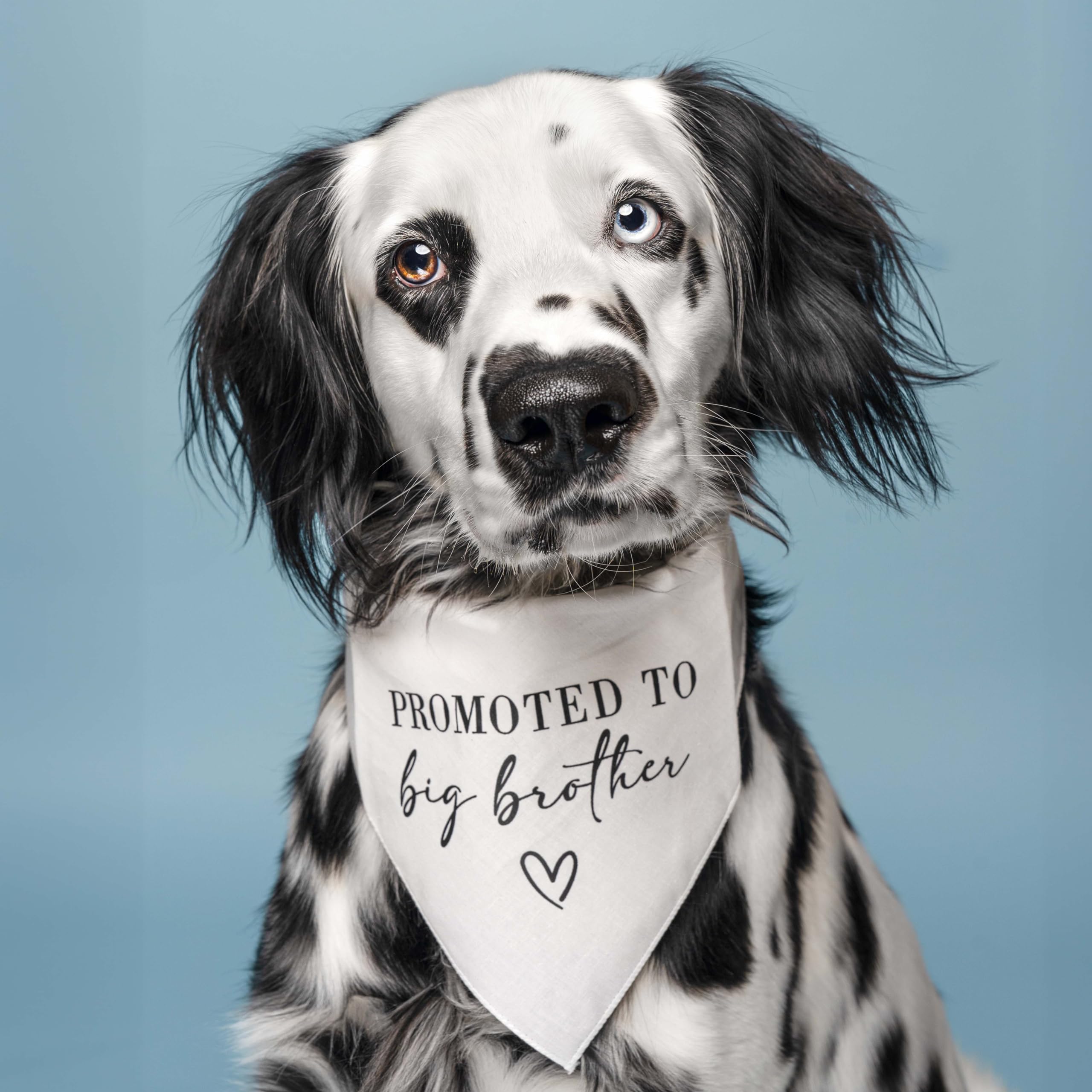 Promoted To Big Brother Dog Bandana | 100% Cotton Adjustable Triangle | Pregnancy Announcement | New Baby Made In Usa | White On