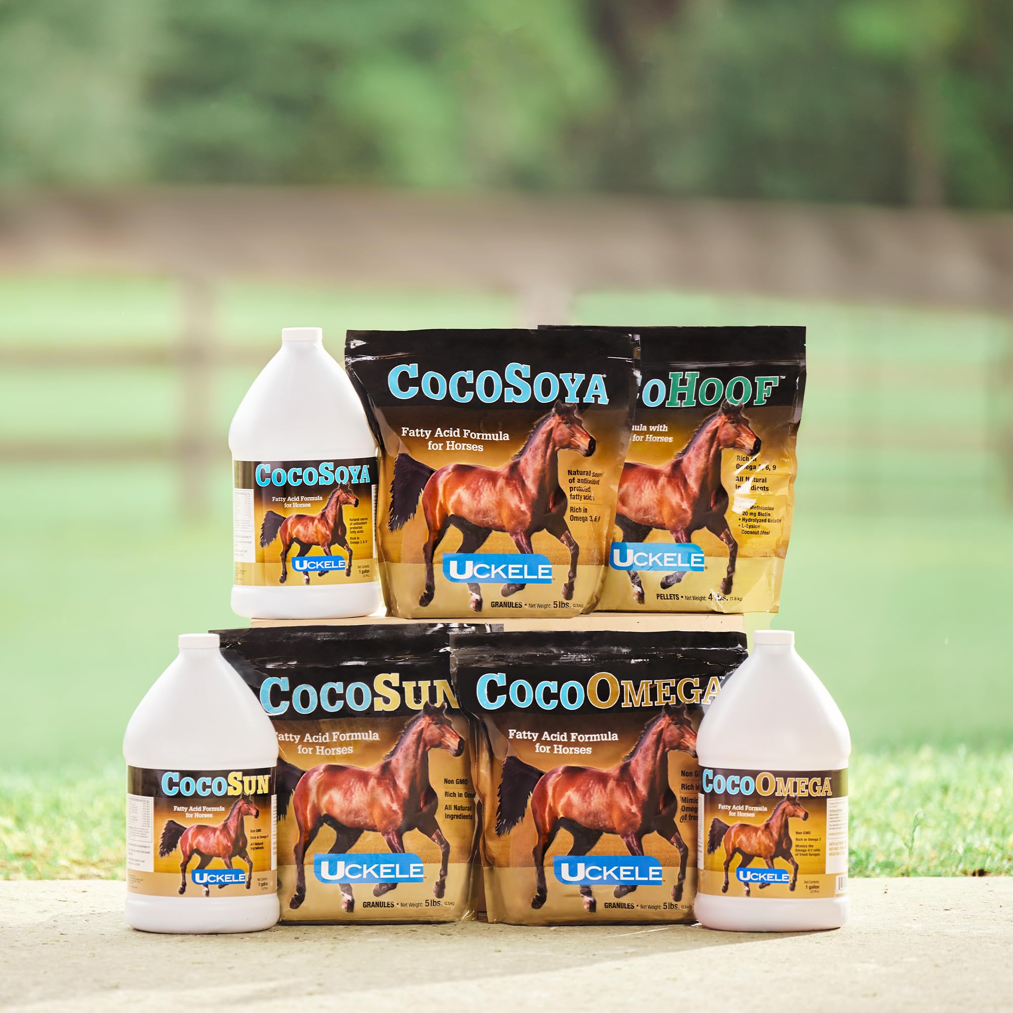 Uckele by SmartEquine CocoHoof, Hoof Supplements for Horses | Biotin for Horses Hooves | Horse Vitamins and Minerals Supplement