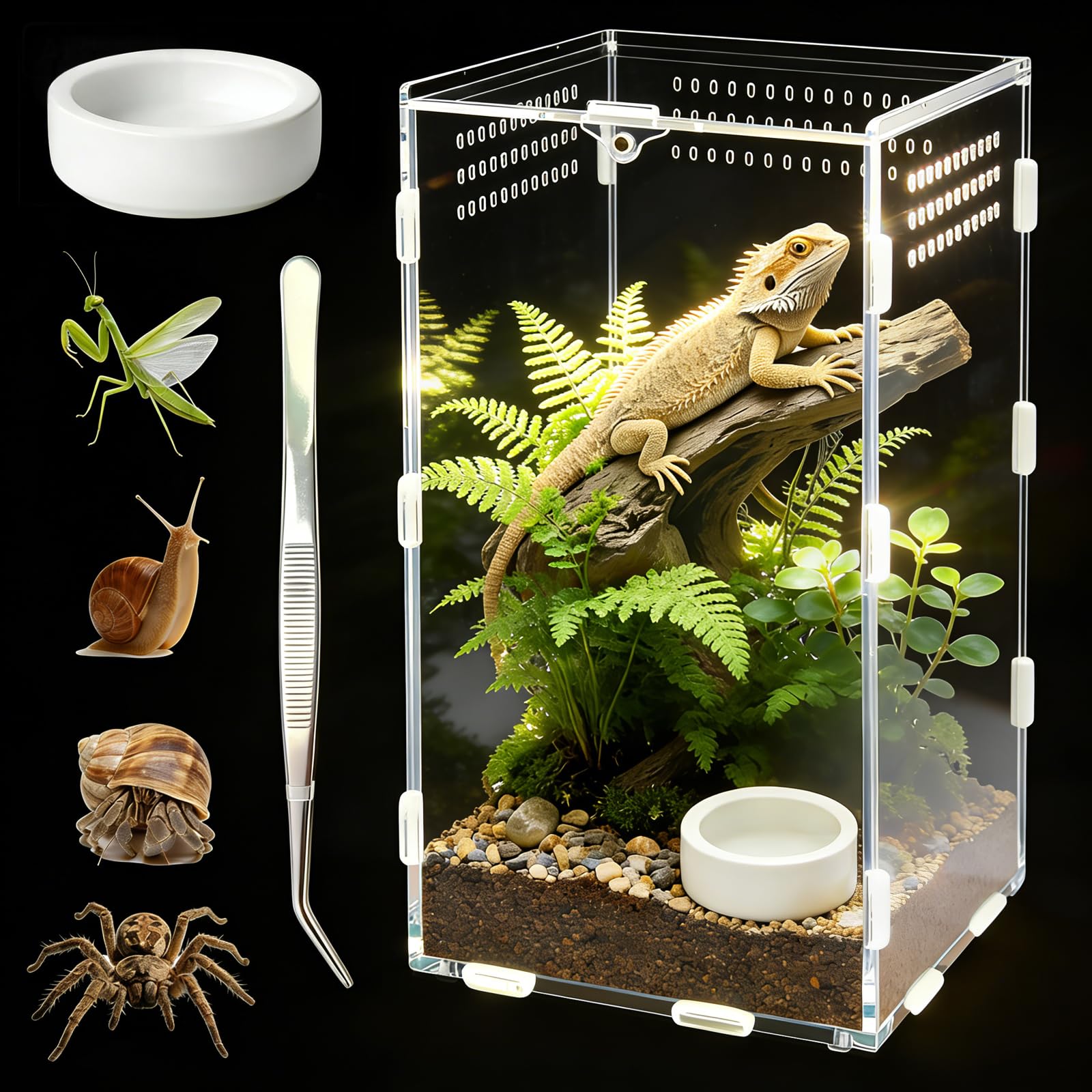Jumping Spider Enclosure with Tweezer and Bowl, Acrylic Terrarium for Spiders, Tarantulas, Frogs, Lizards, Easy to Clean Jumping