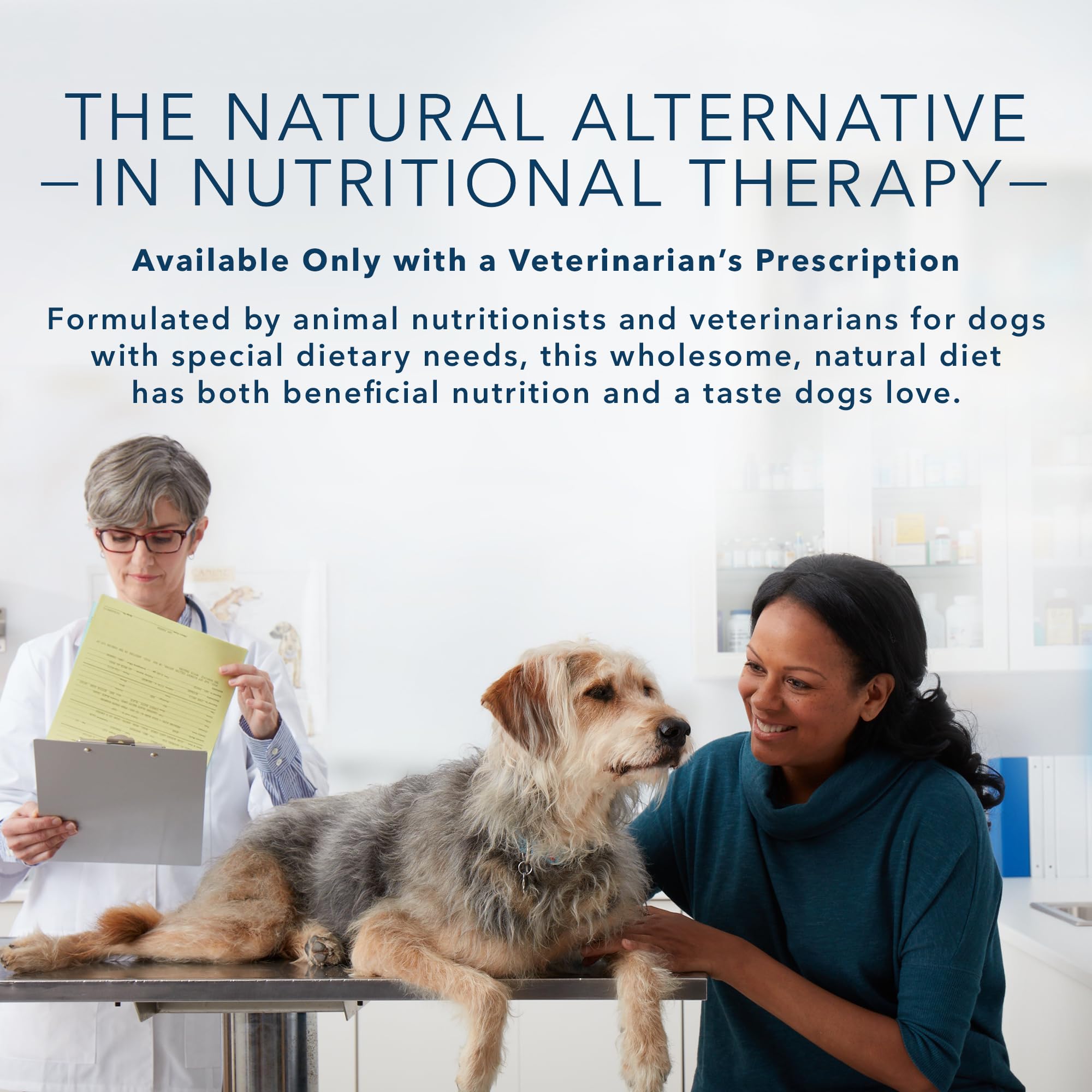 Blue Buffalo Natural Veterinary Diet KS Kidney Support Wet Dog Food, Chicken 12.5-oz cans (Pack of 12)